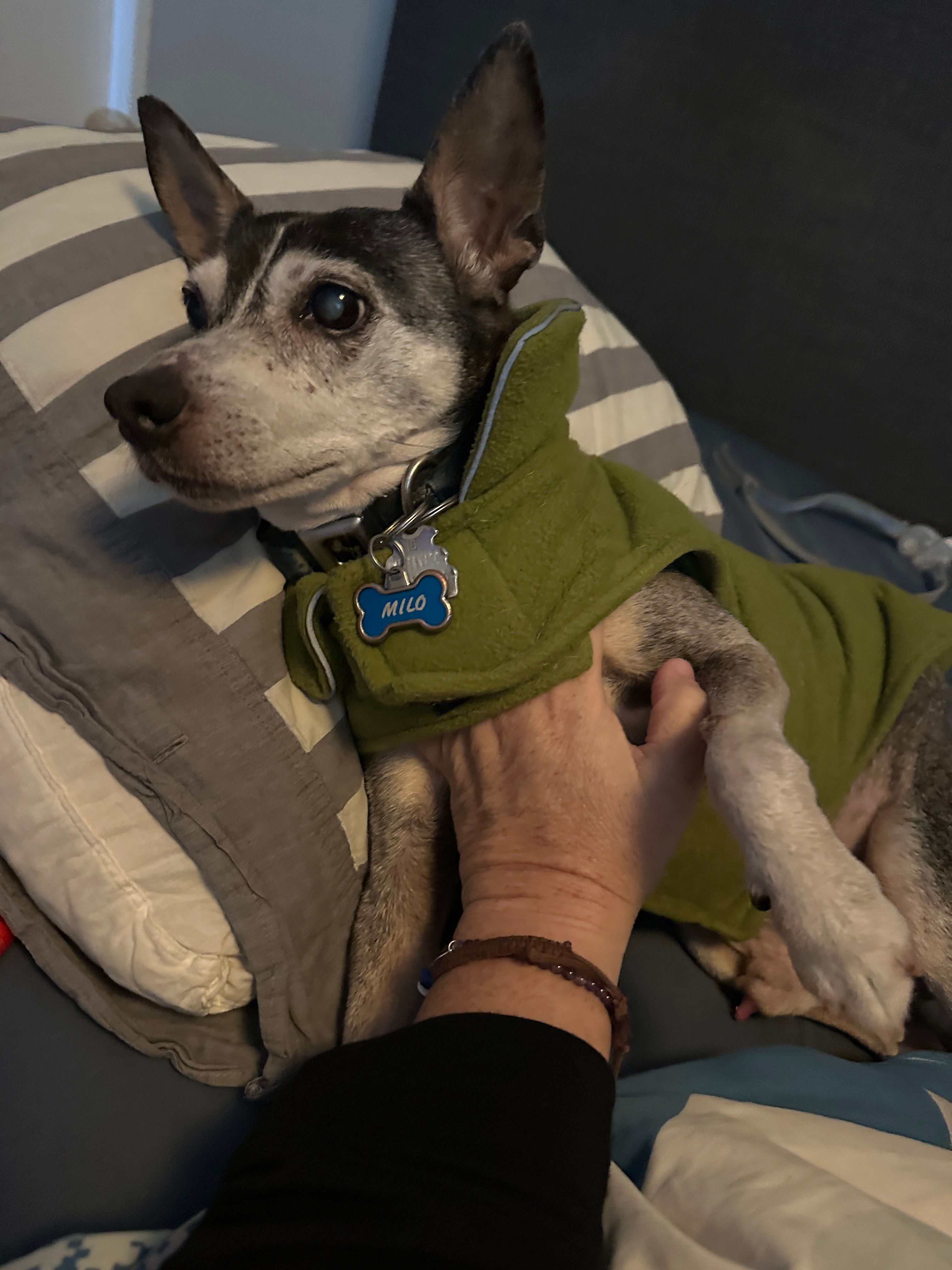 image-9