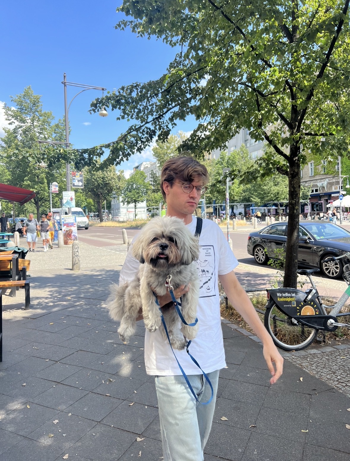 image-7