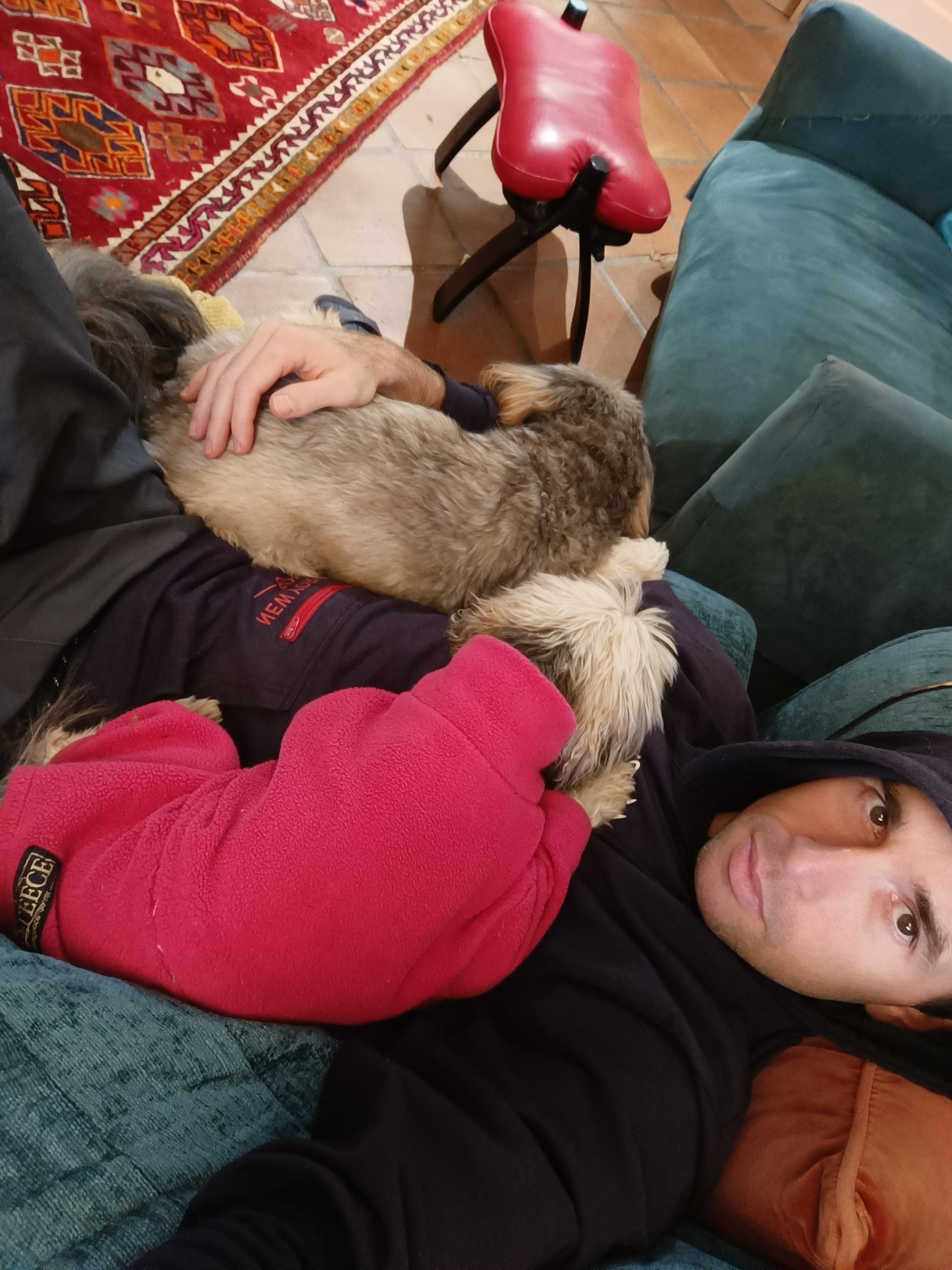 image-8