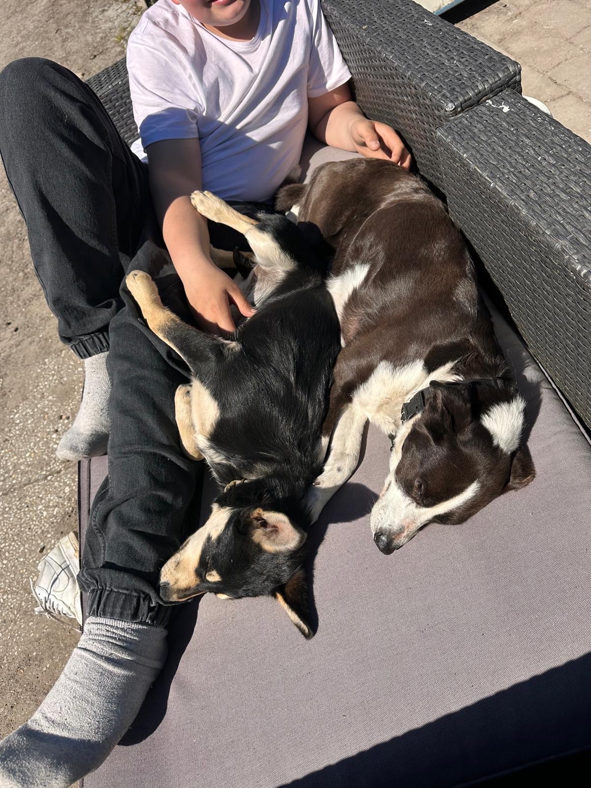image-6
