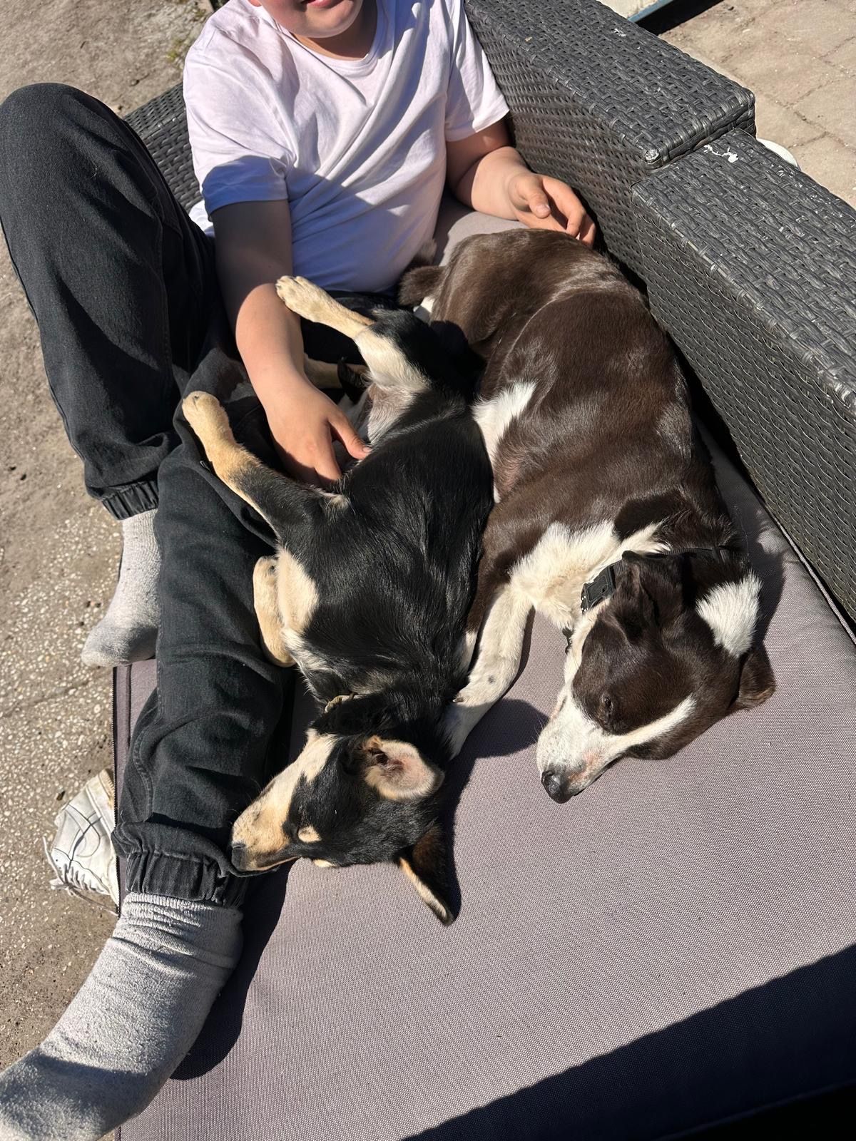 image-6