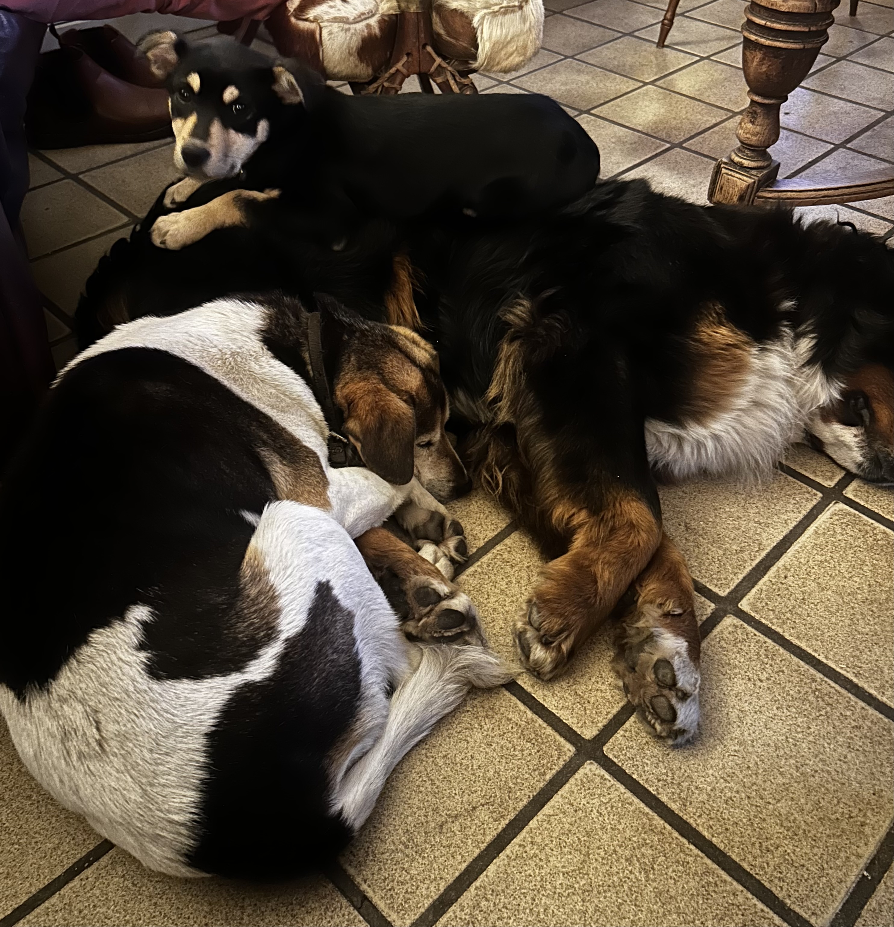 image-7