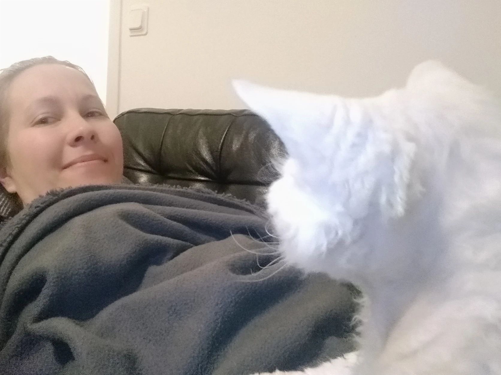 image-2