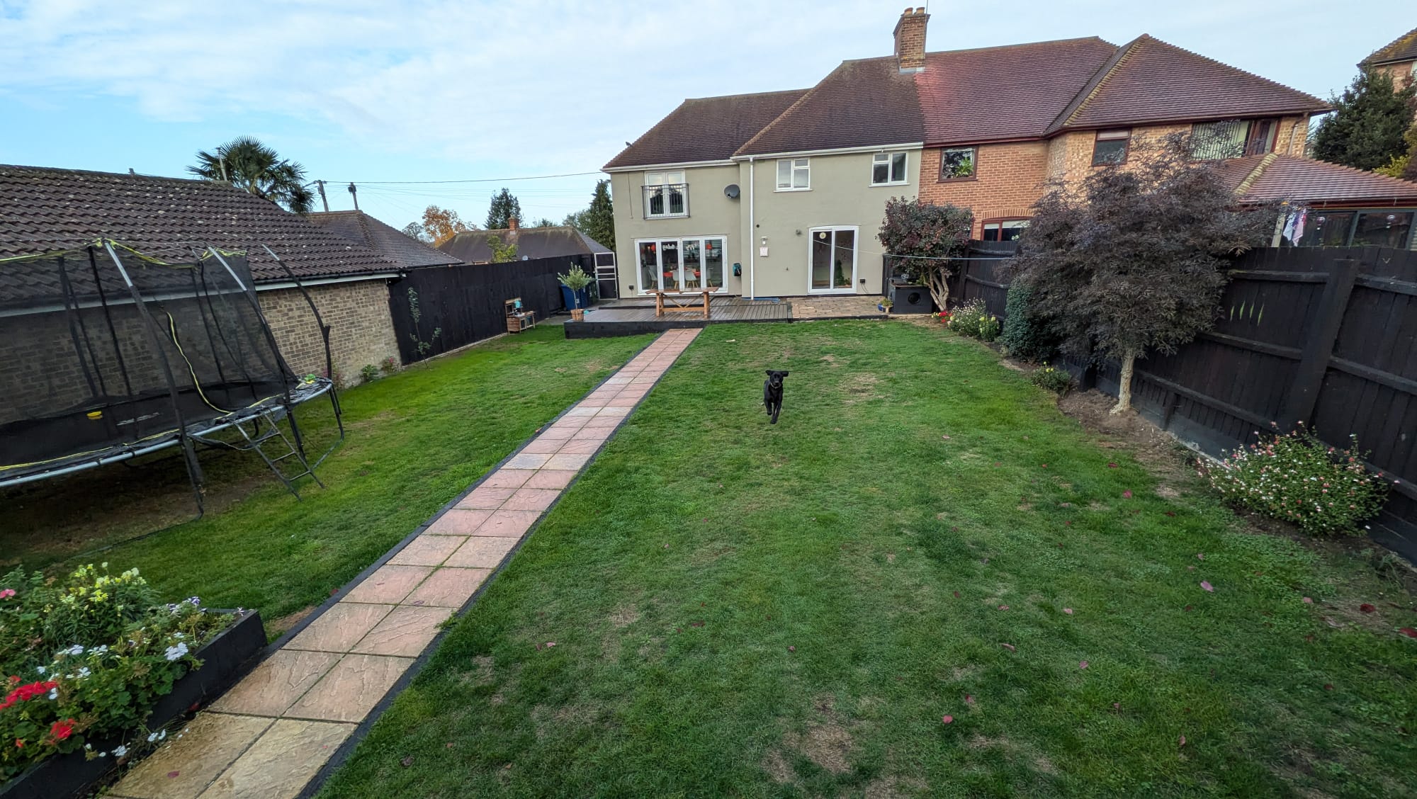 image-15