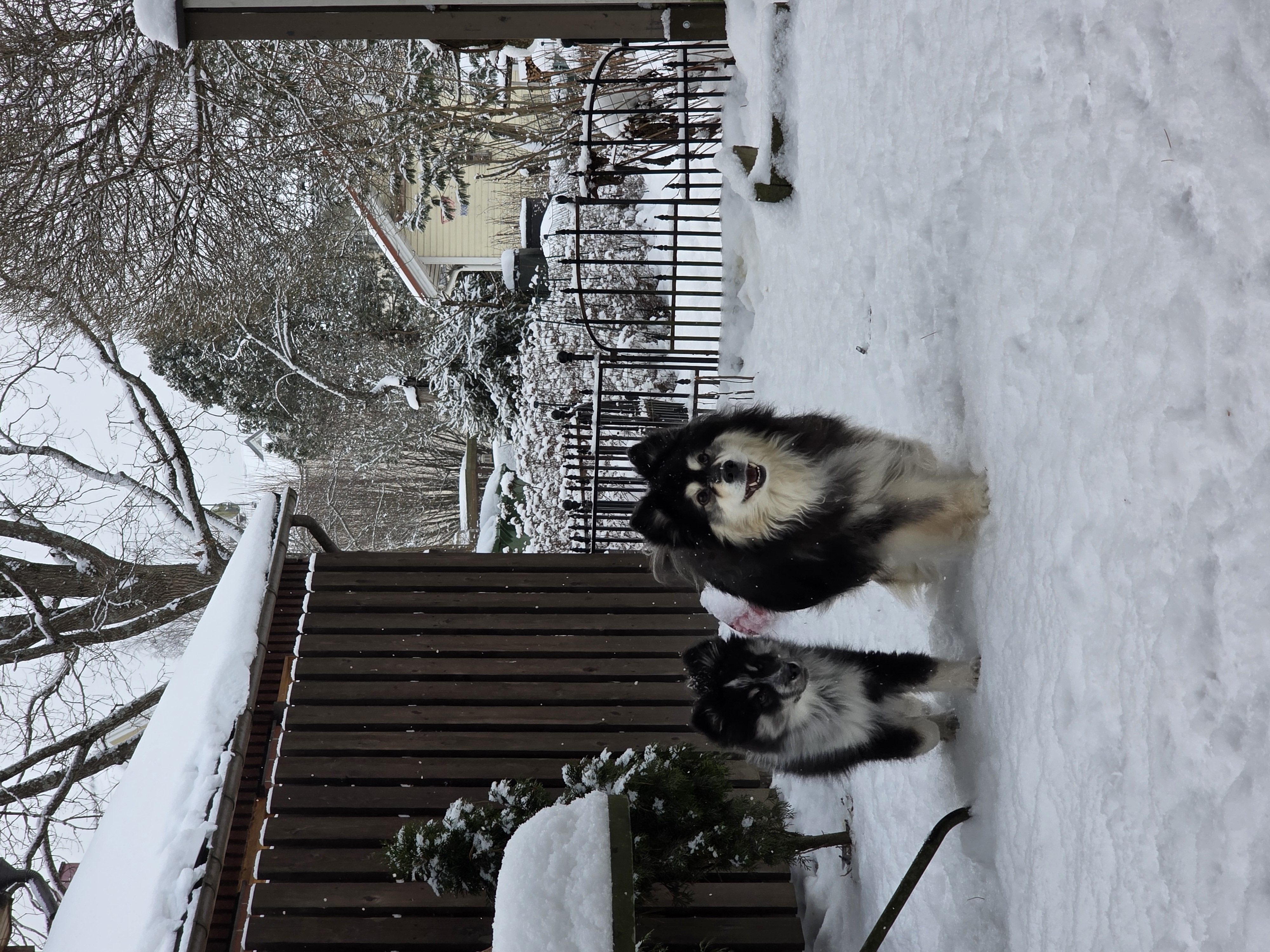 image-10