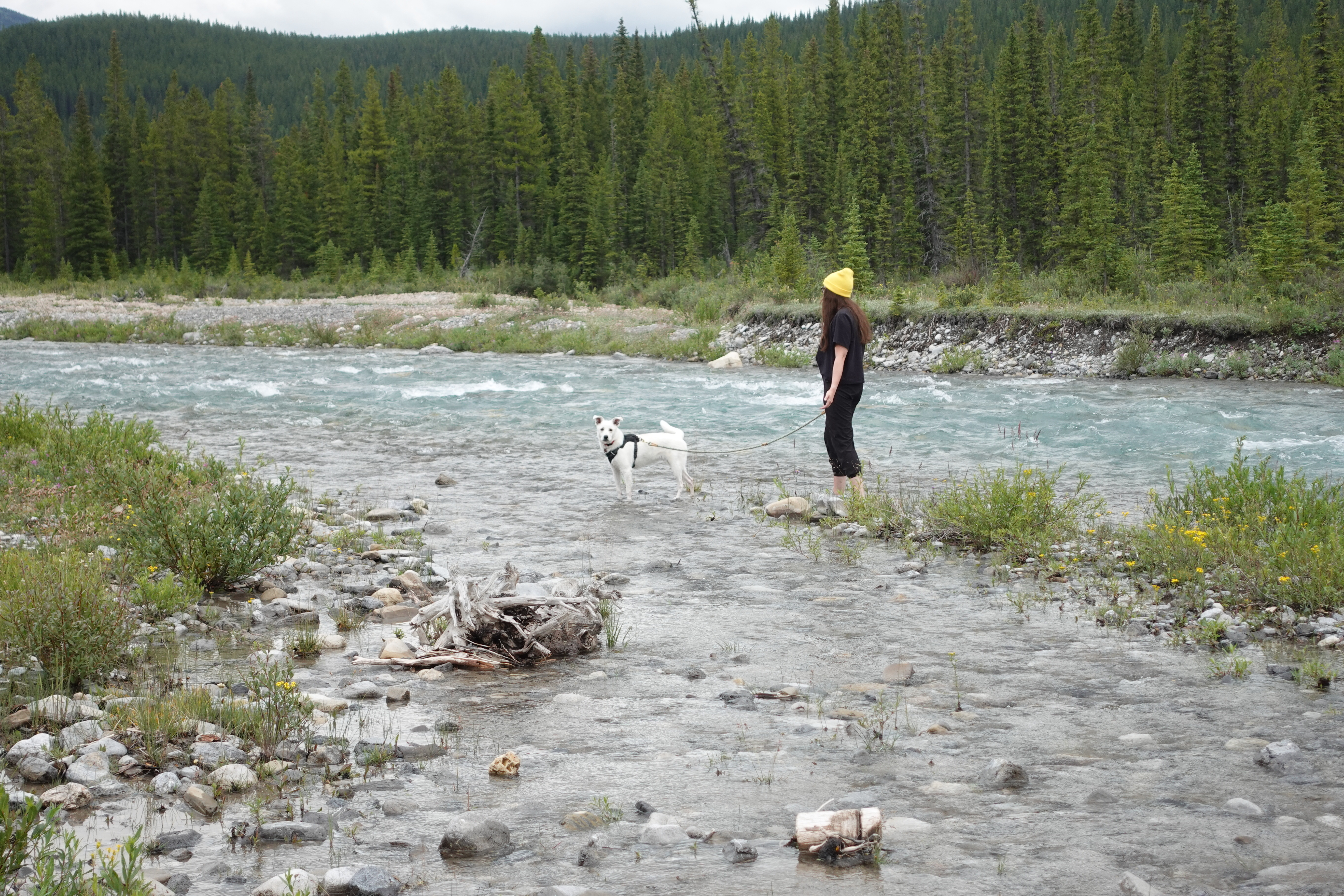 image-5