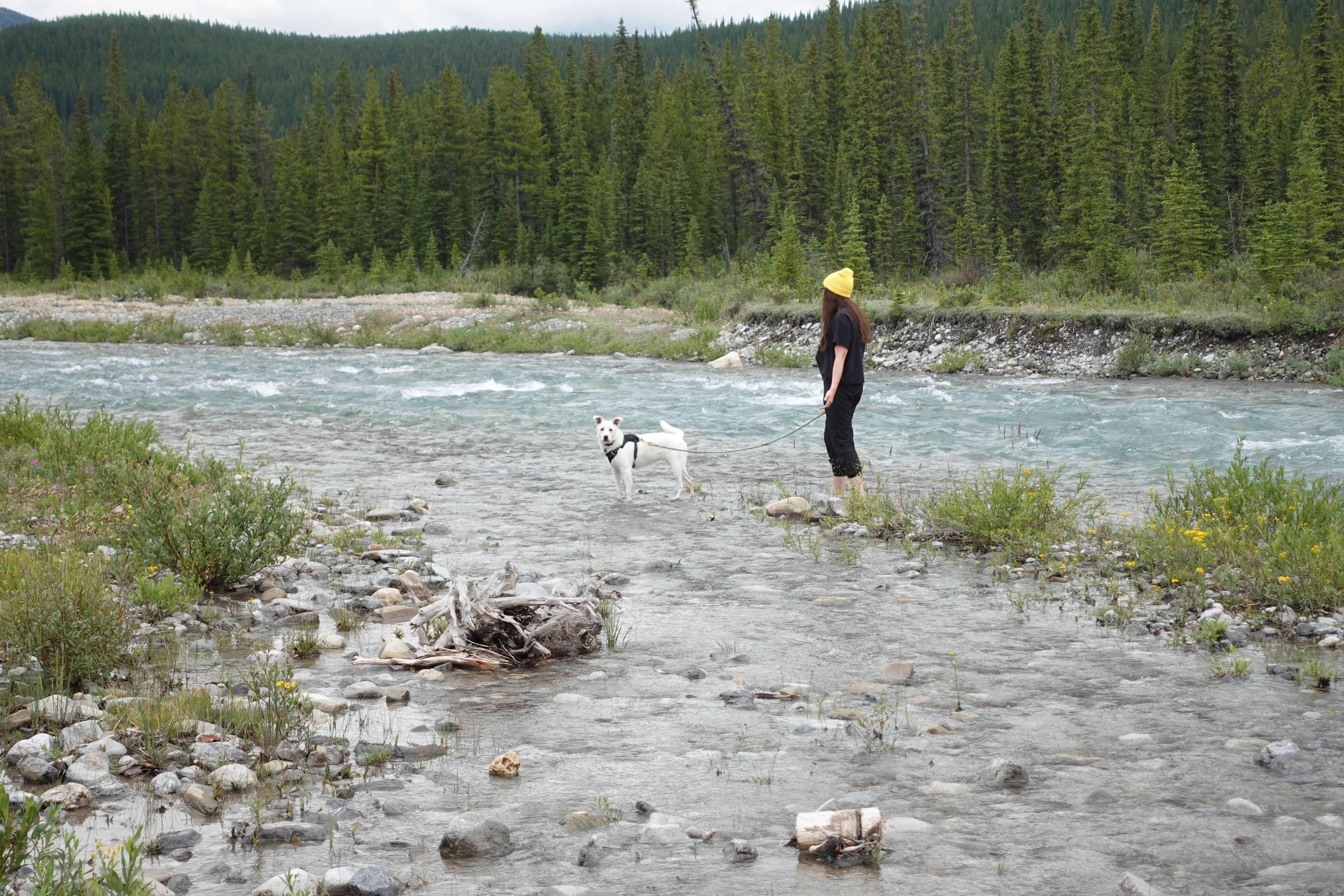 image-5