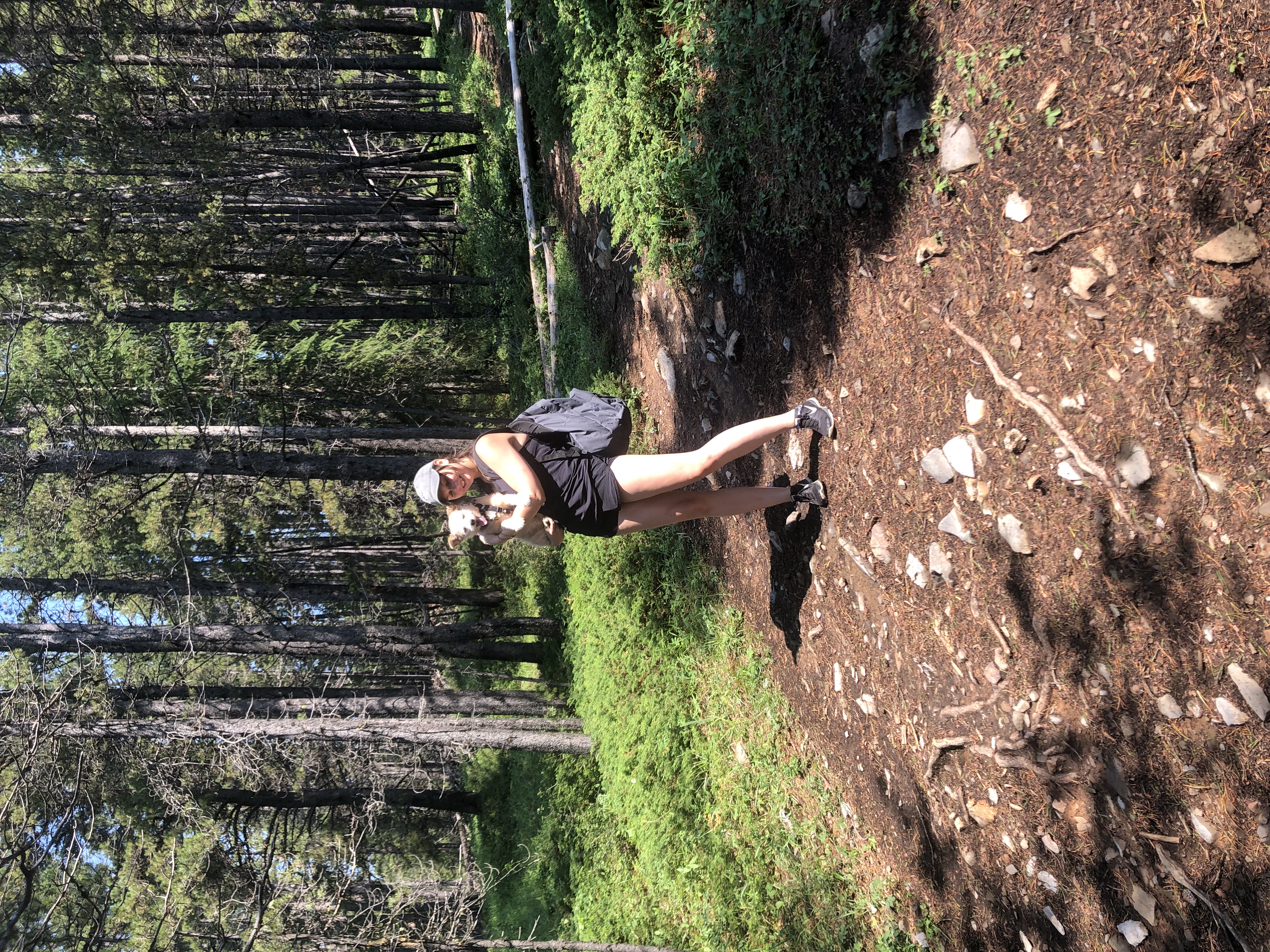image-7