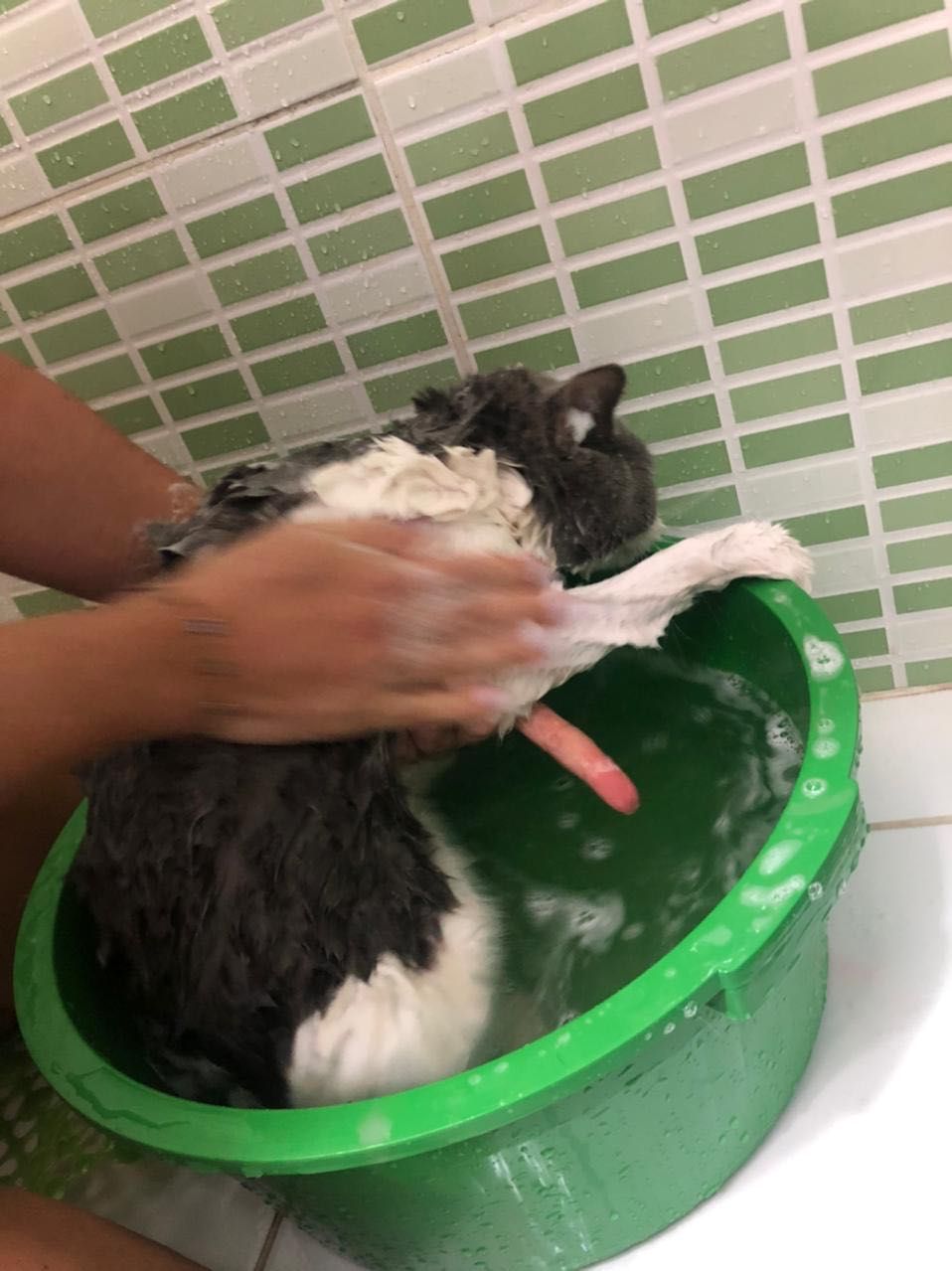 image-10
