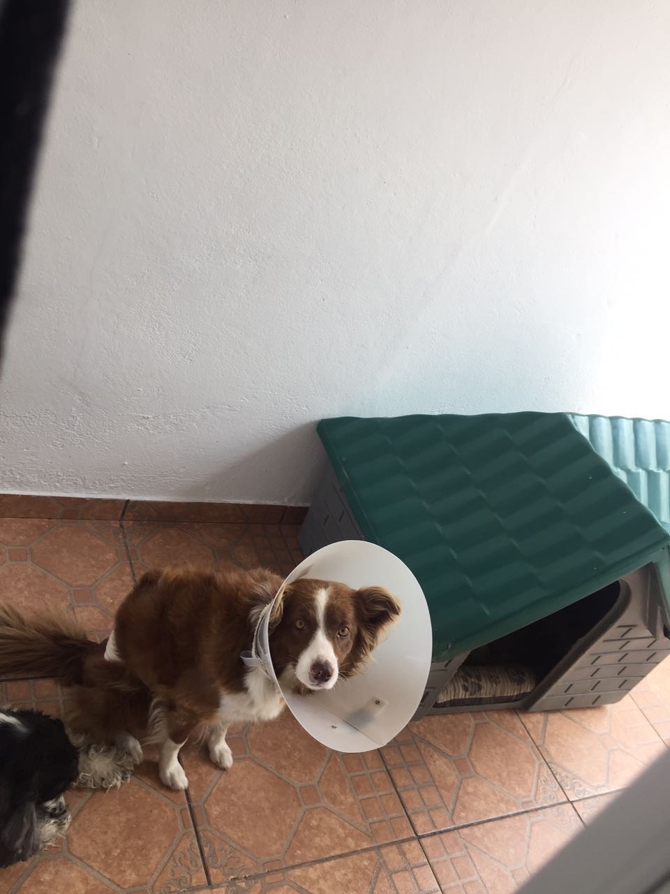 image-28