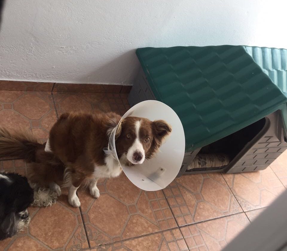 image-14