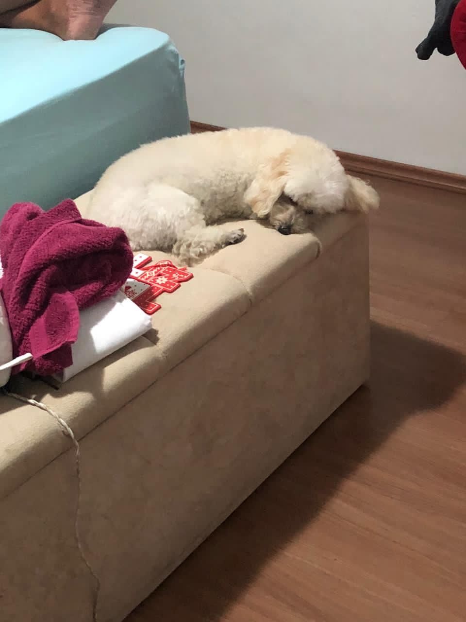 image-26