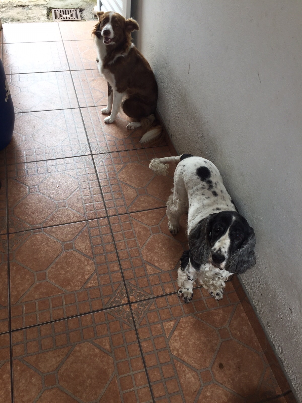 image-29