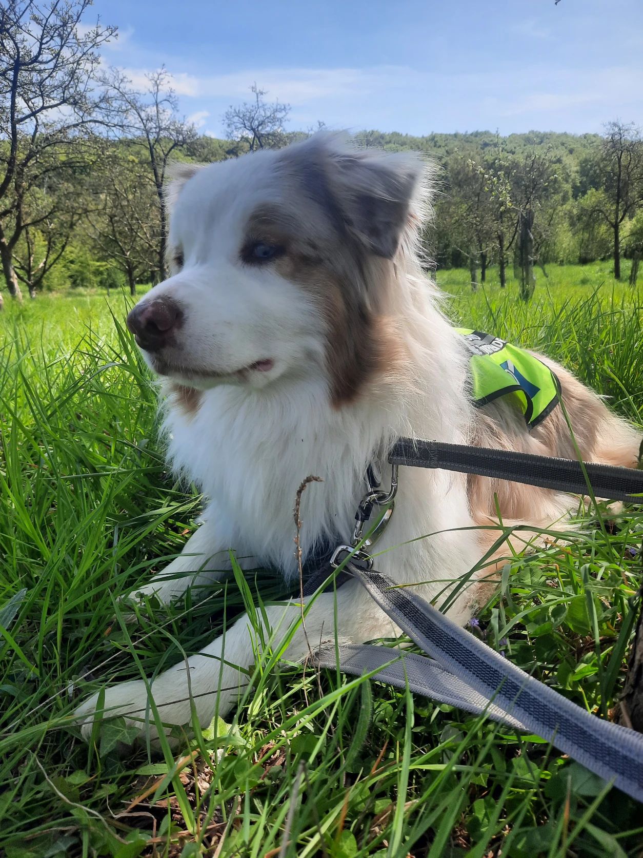 image-4