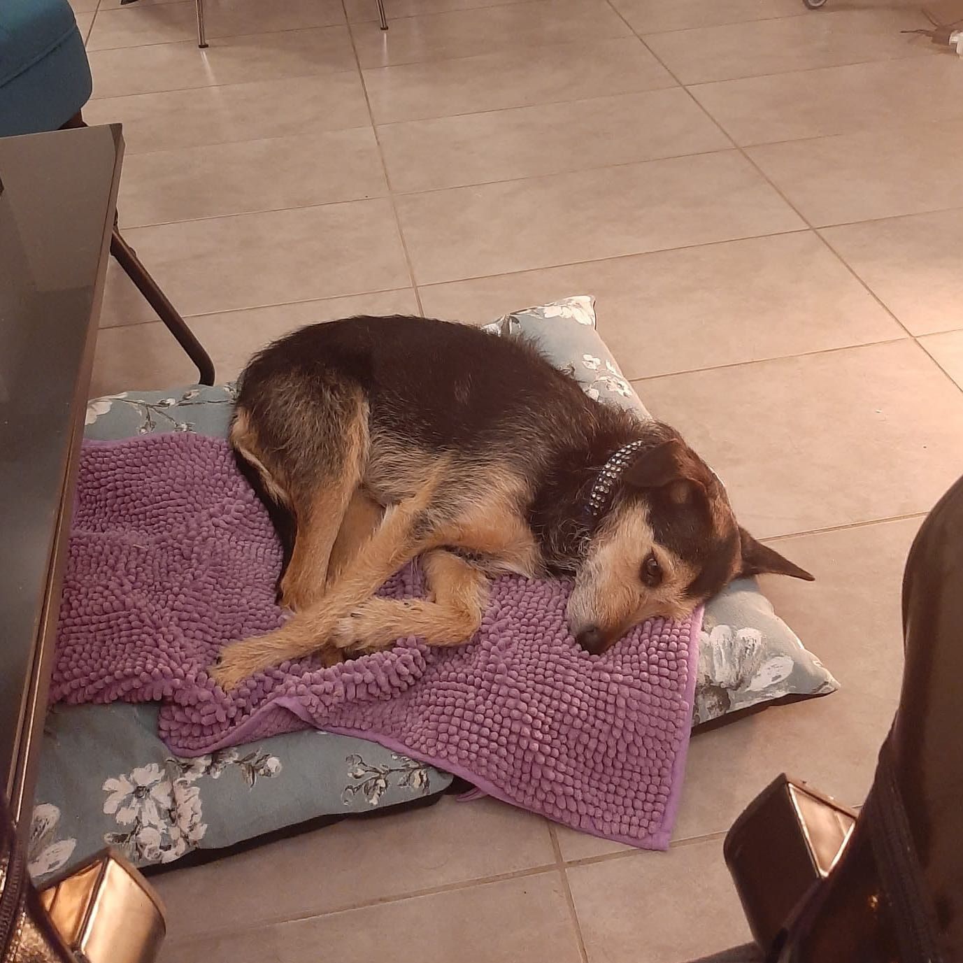 Mimì