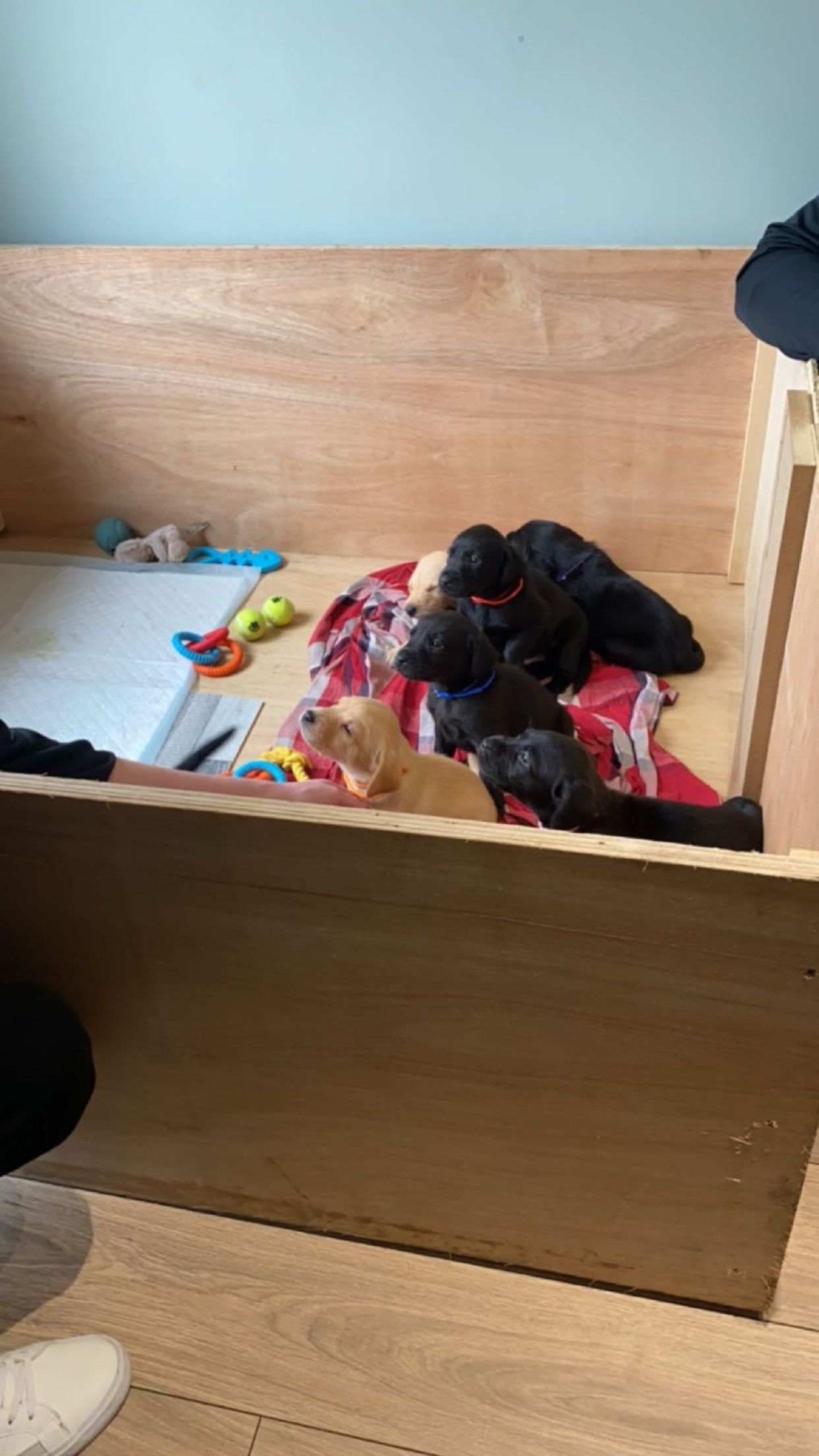 image-11