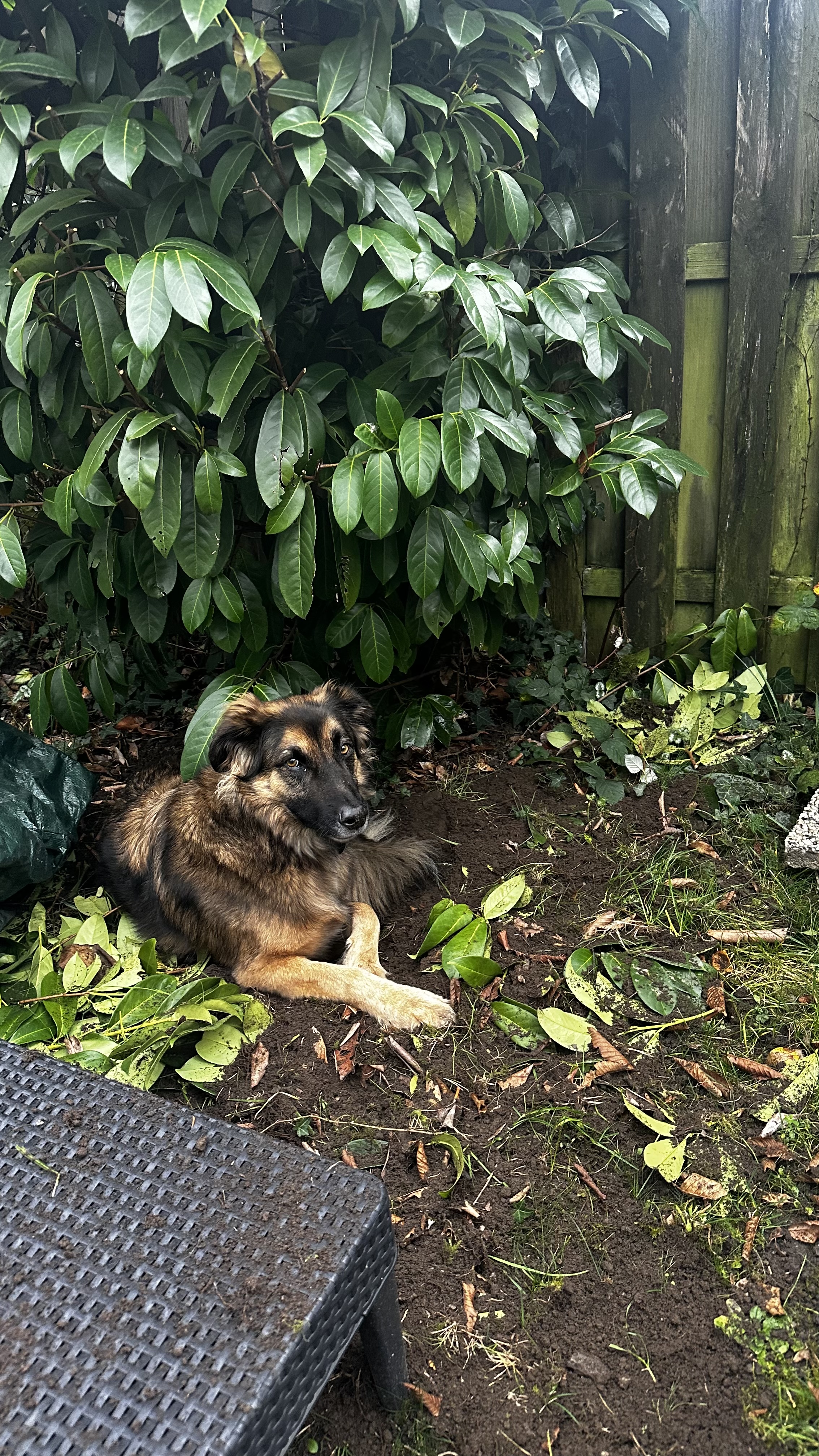 image-13