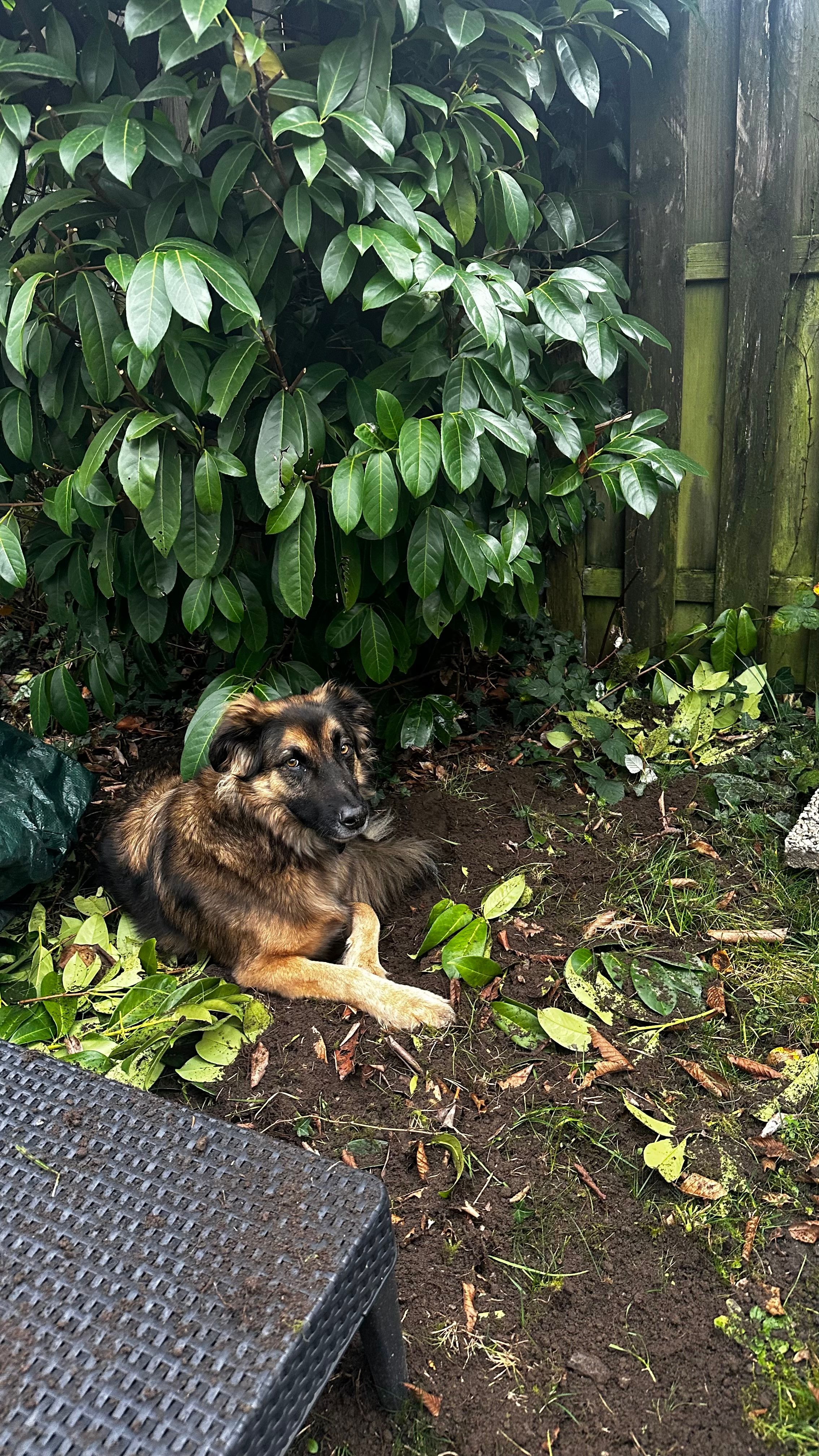 image-13