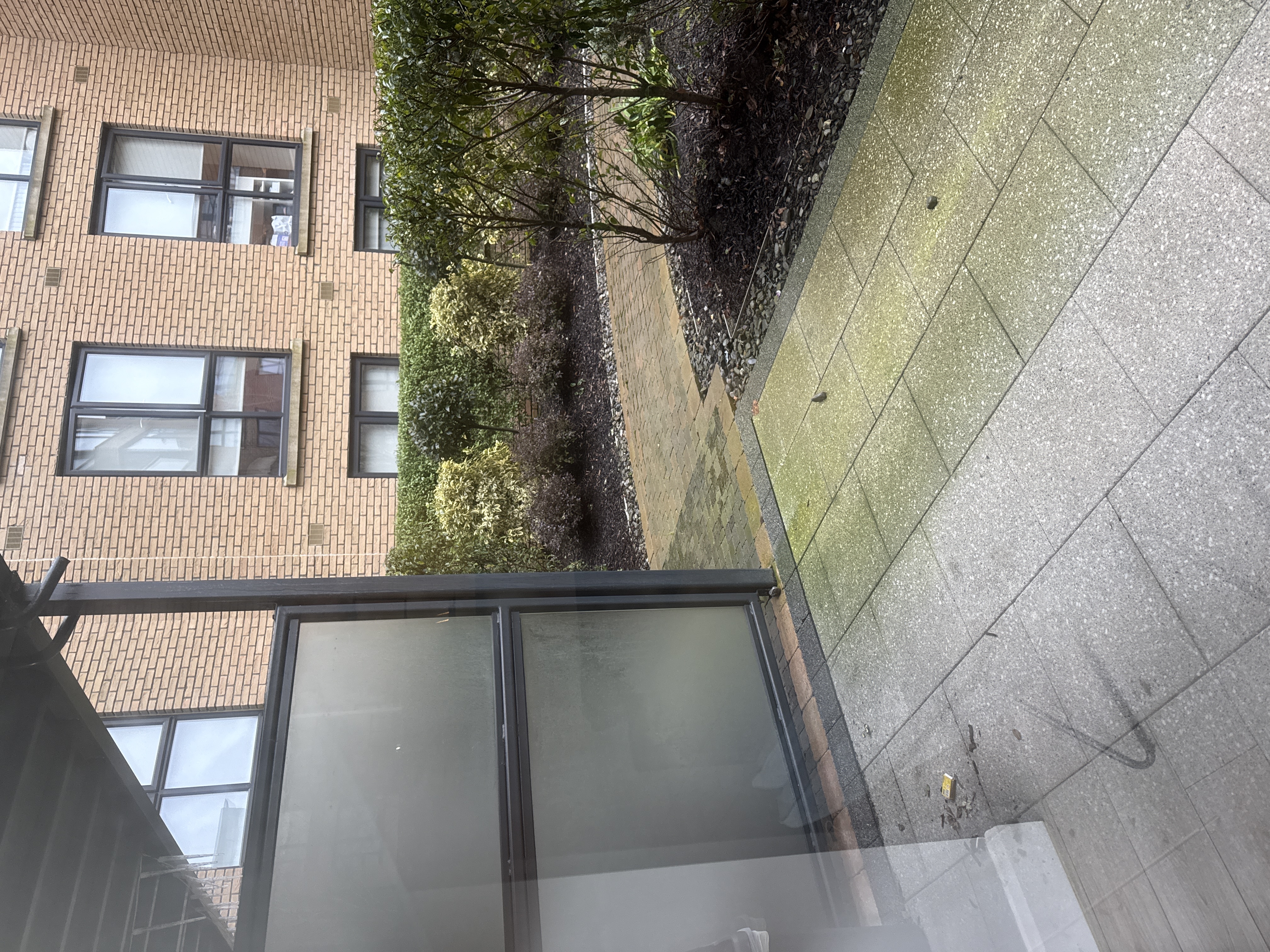 image-19