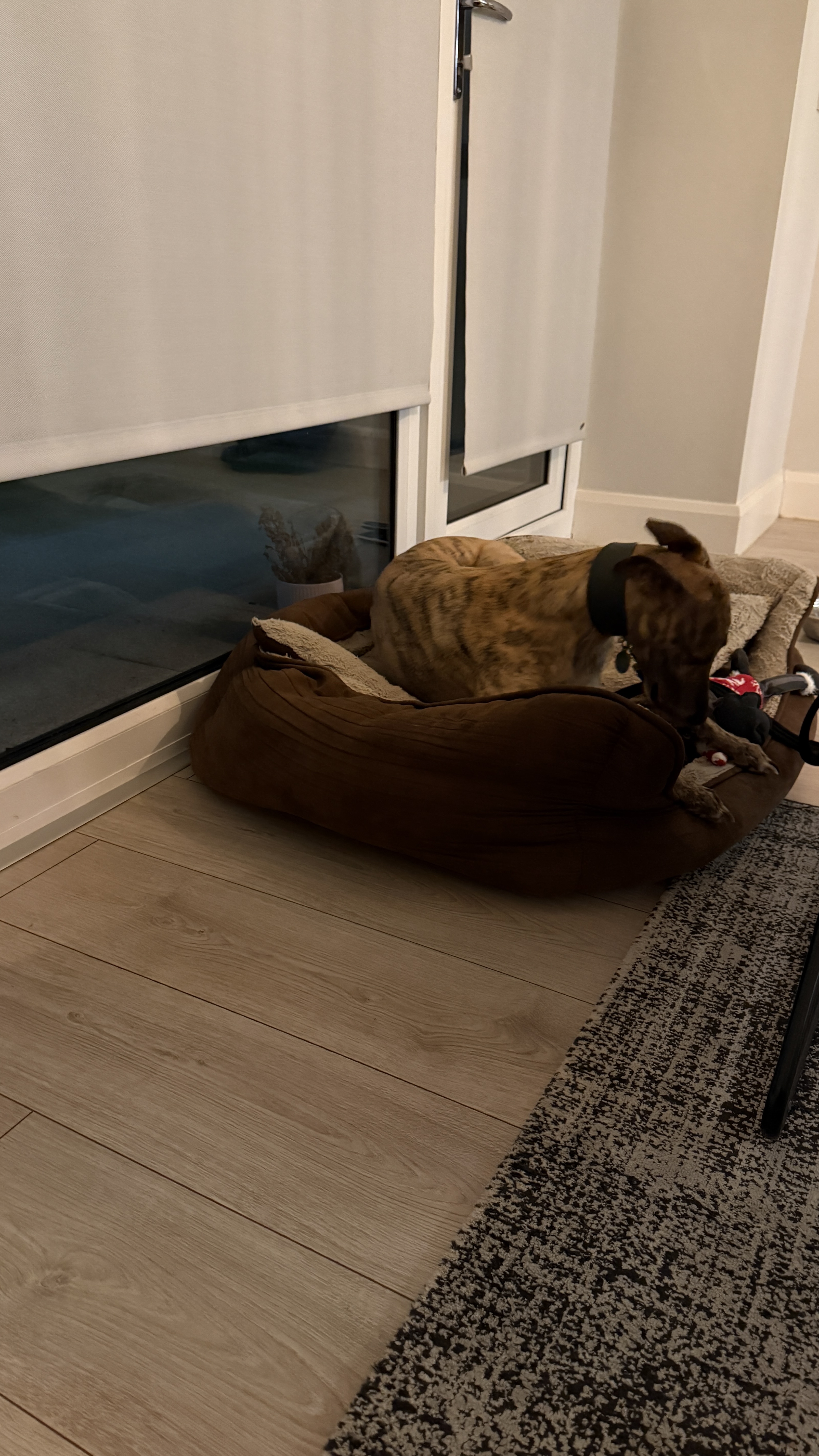 image-12