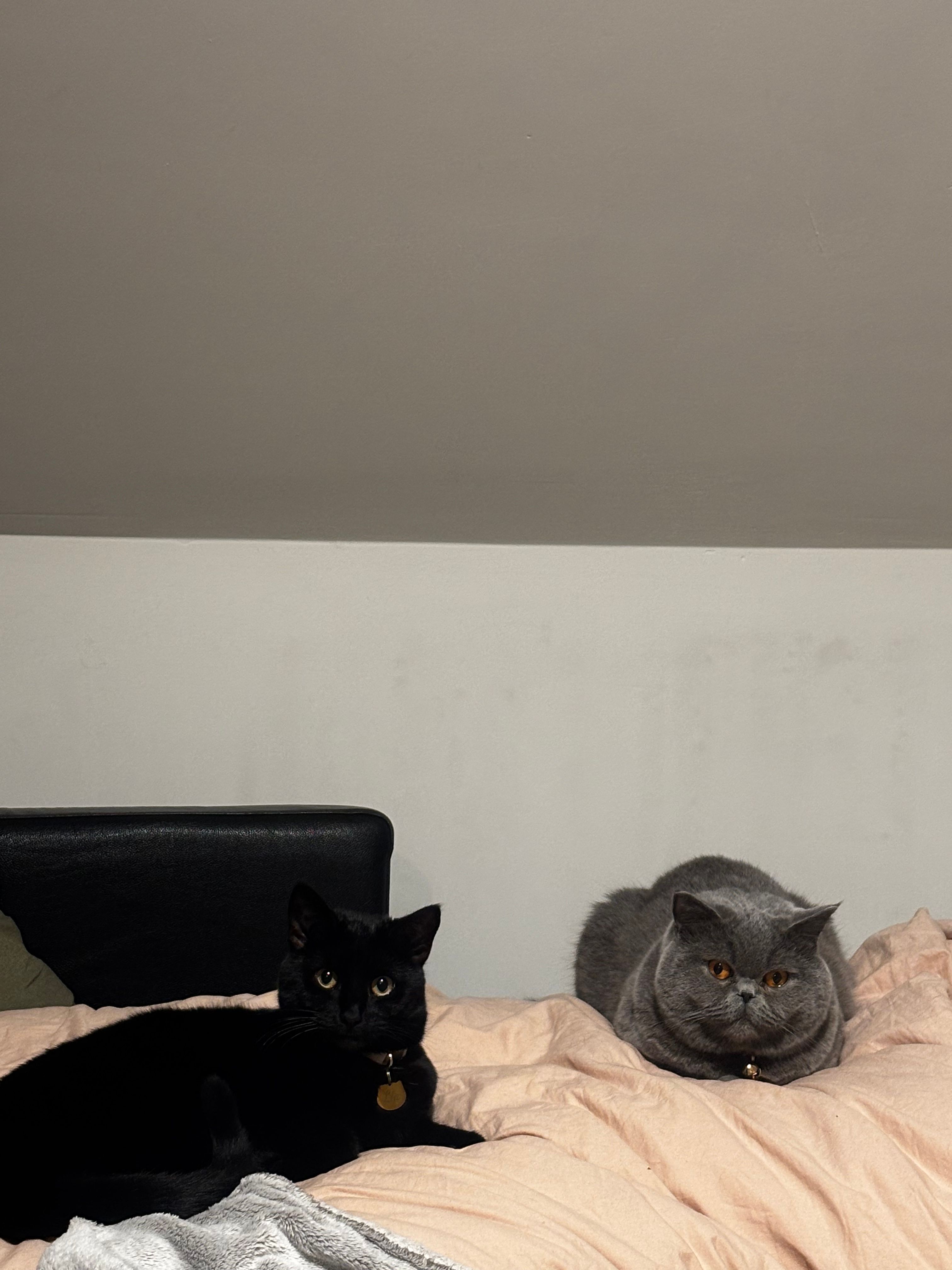 image-14