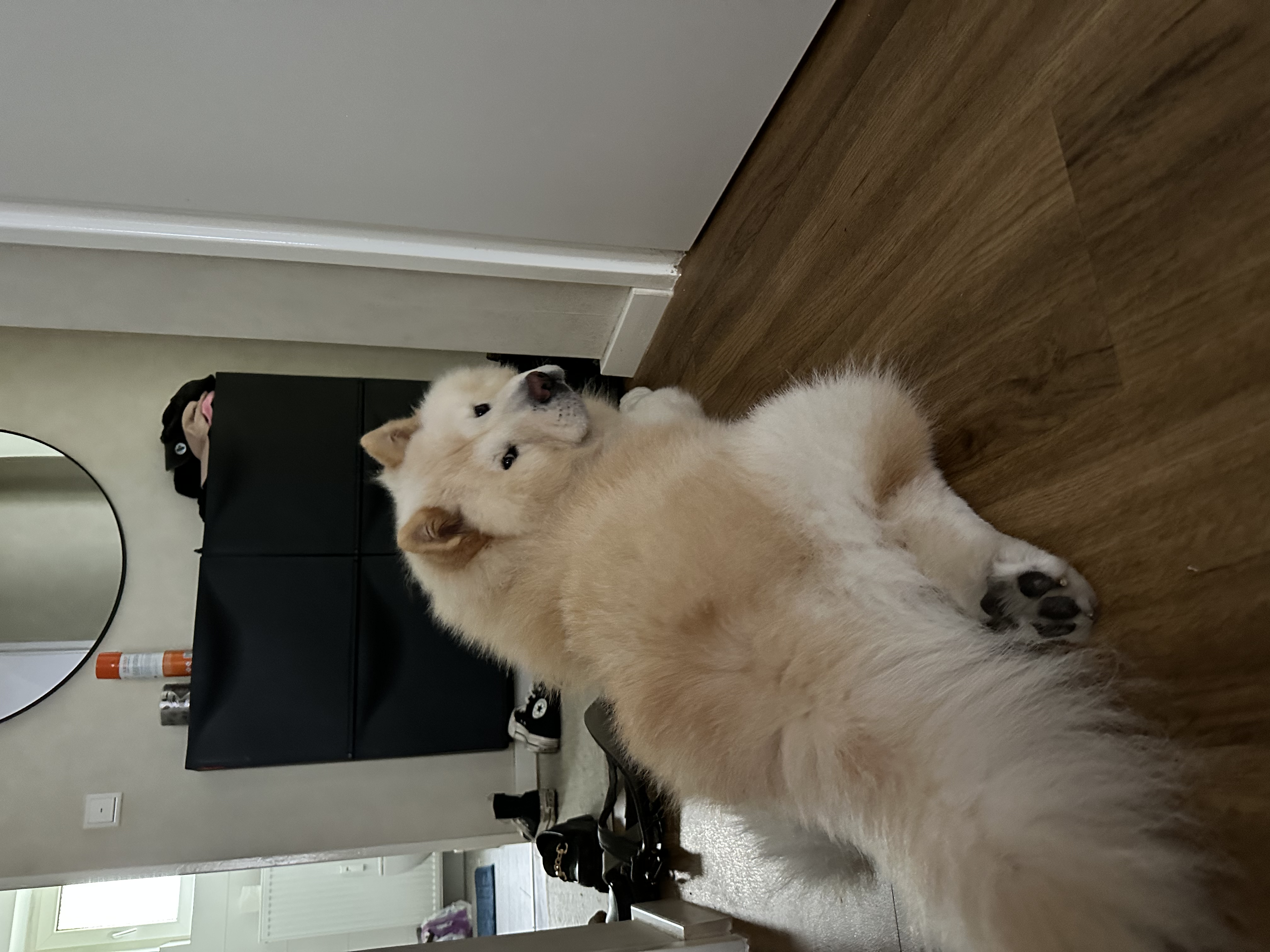 image-9