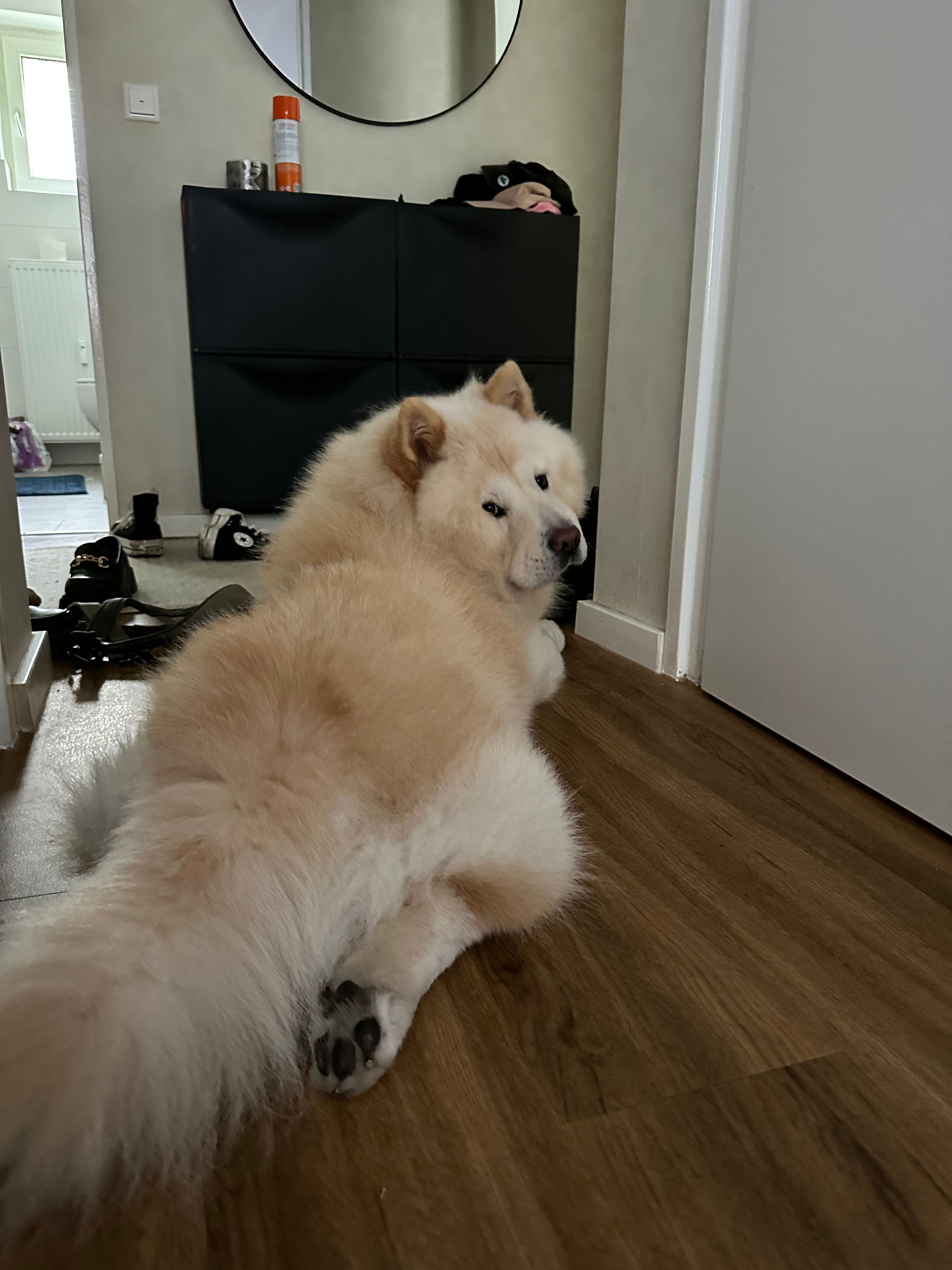 image-9