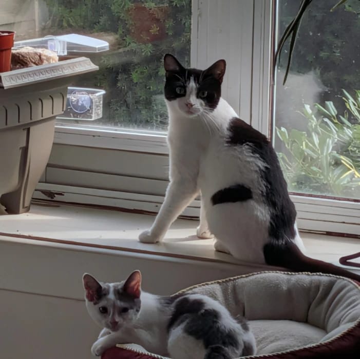 Jewel & Gracie