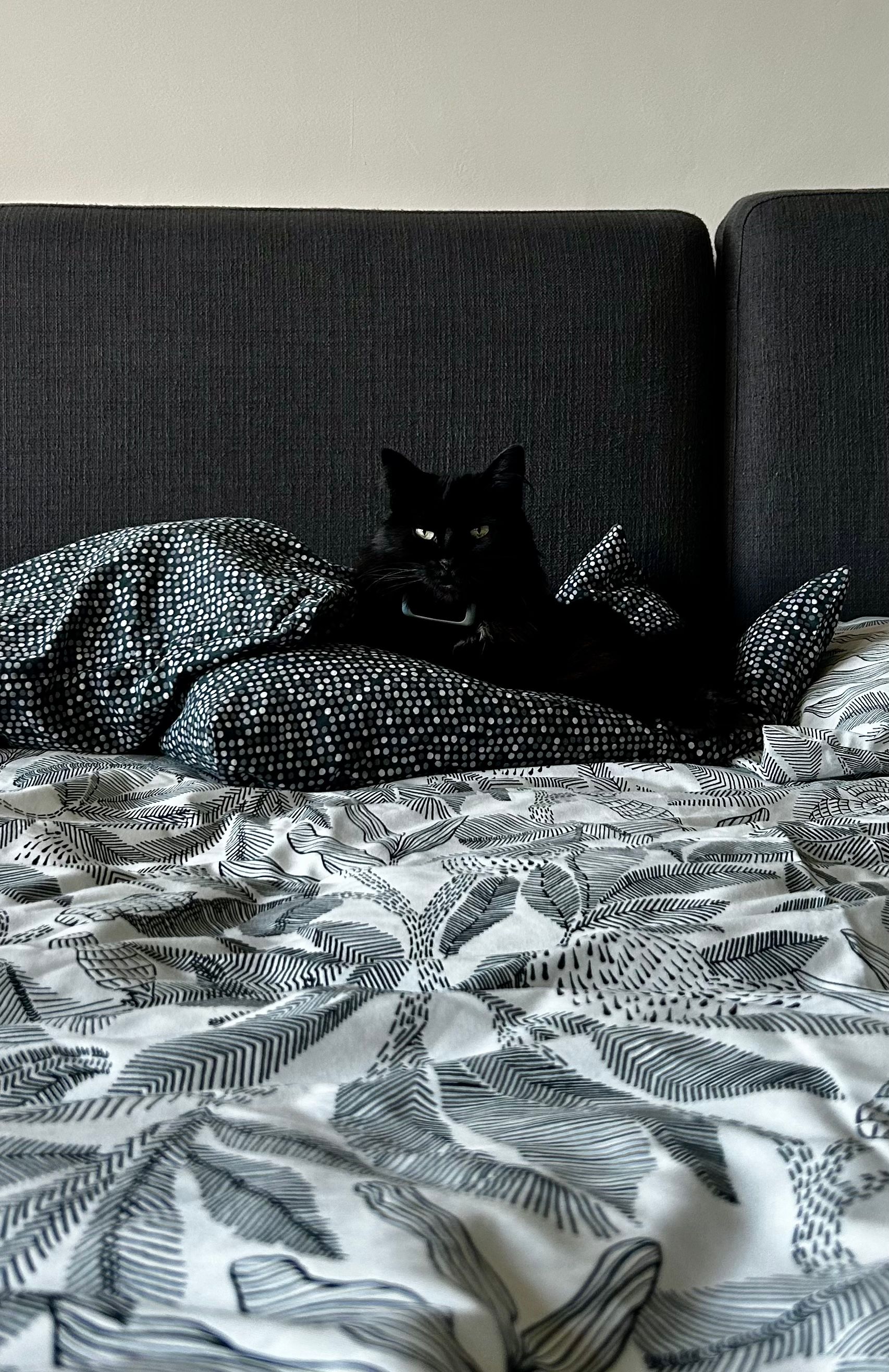 image-20