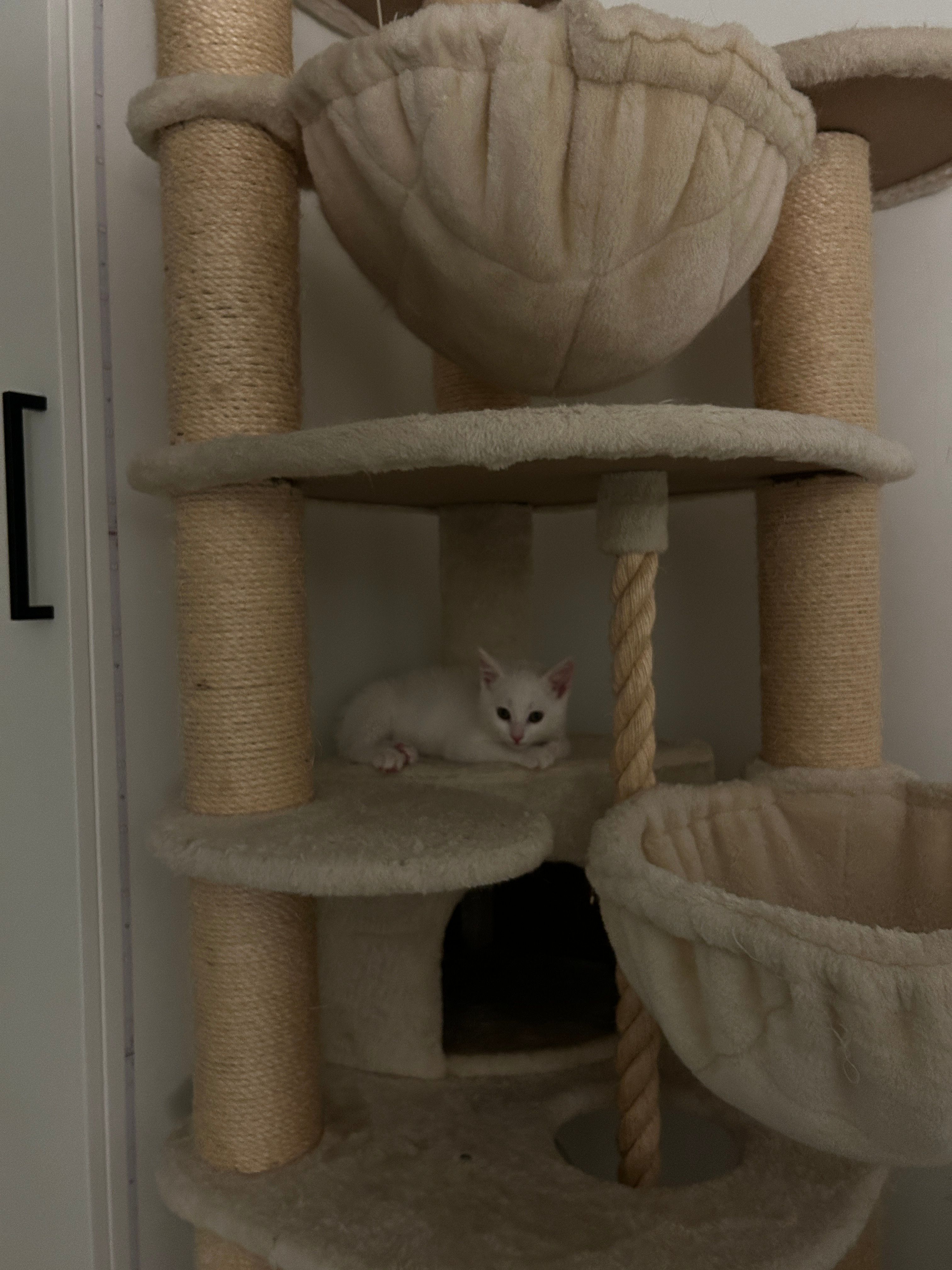 image-13