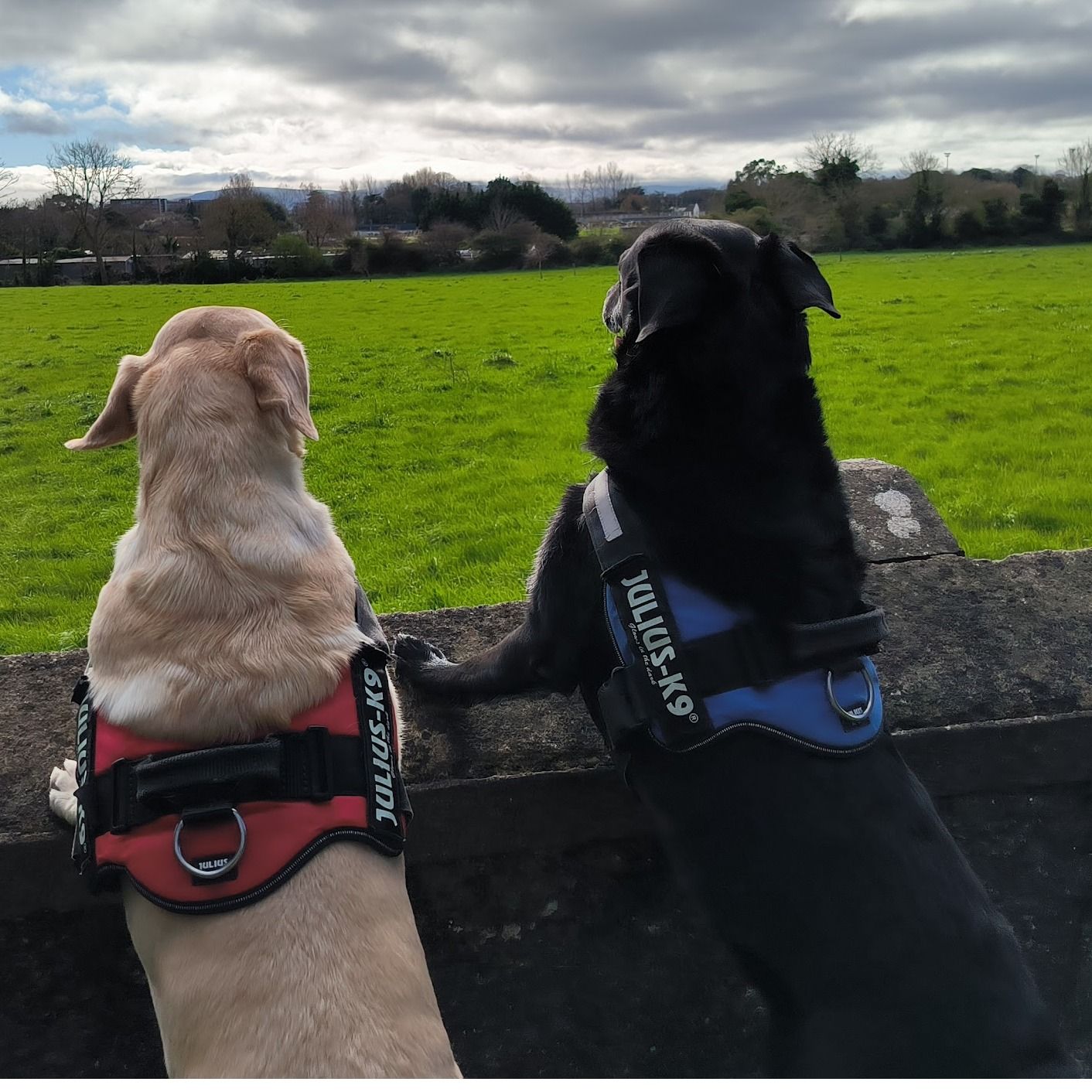 Noel & Dimaima