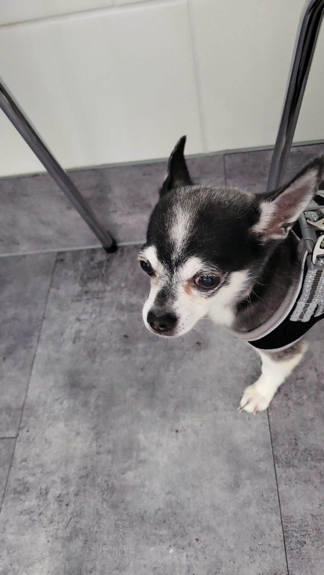 image-7