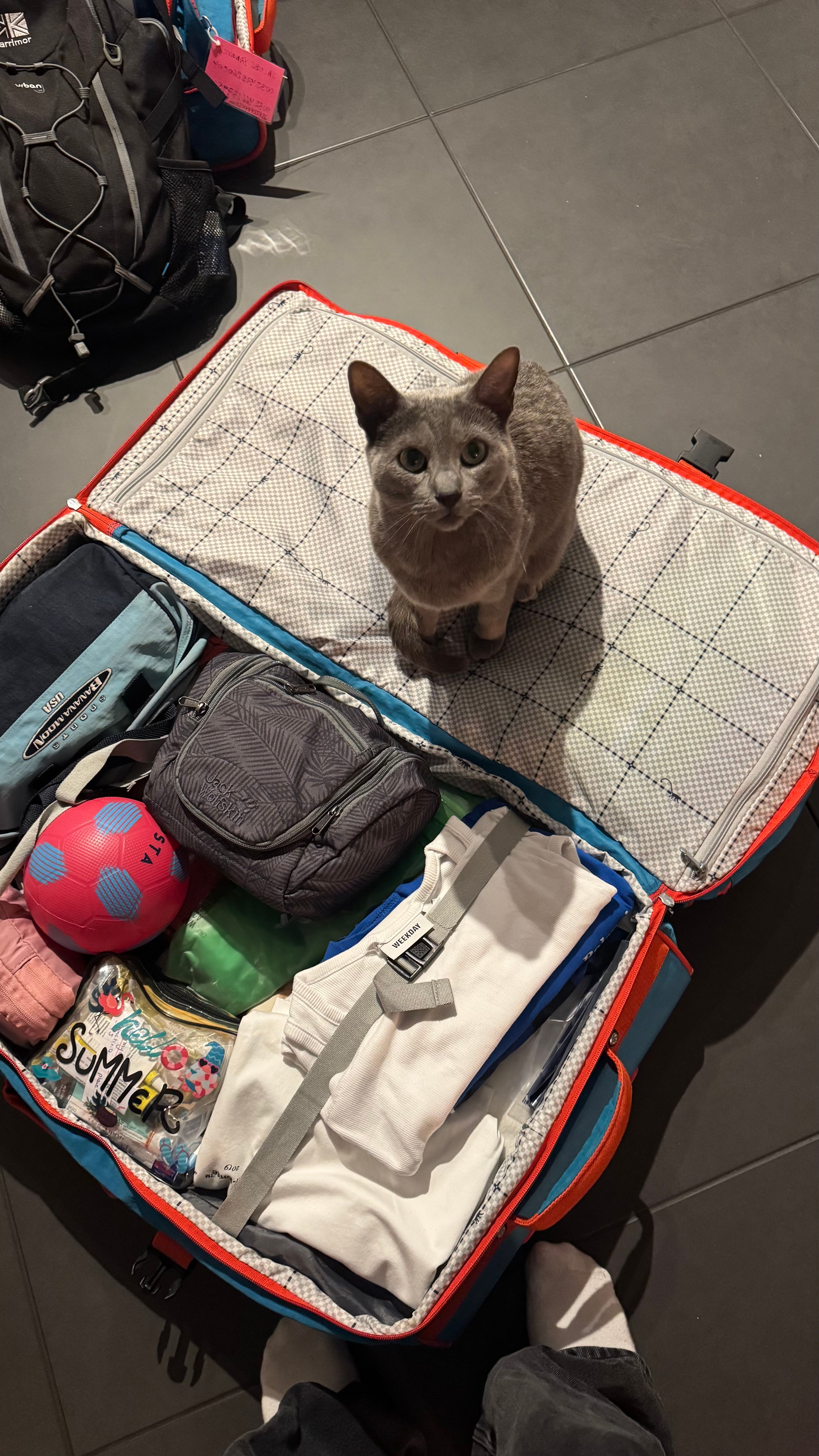 image-7