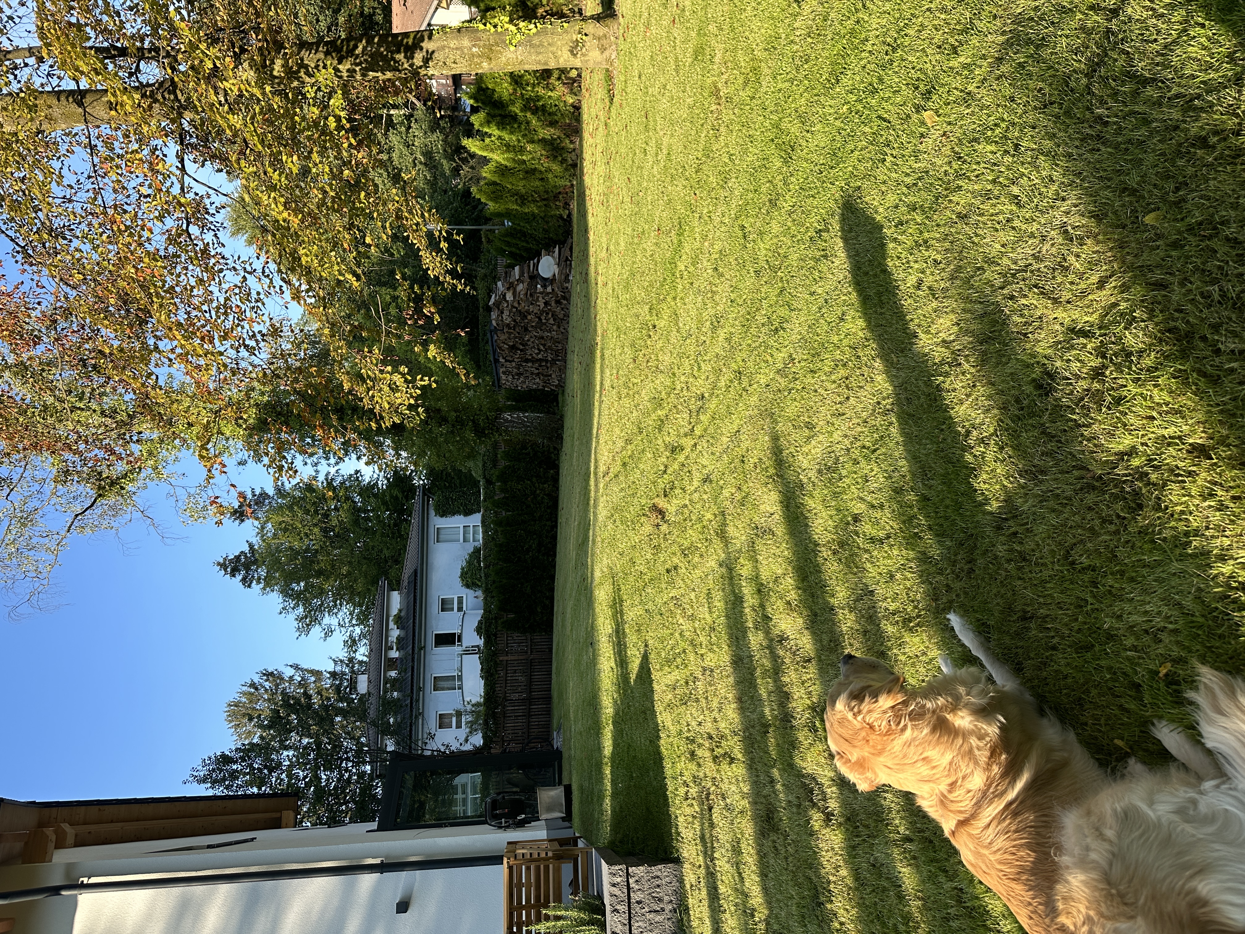 image-25