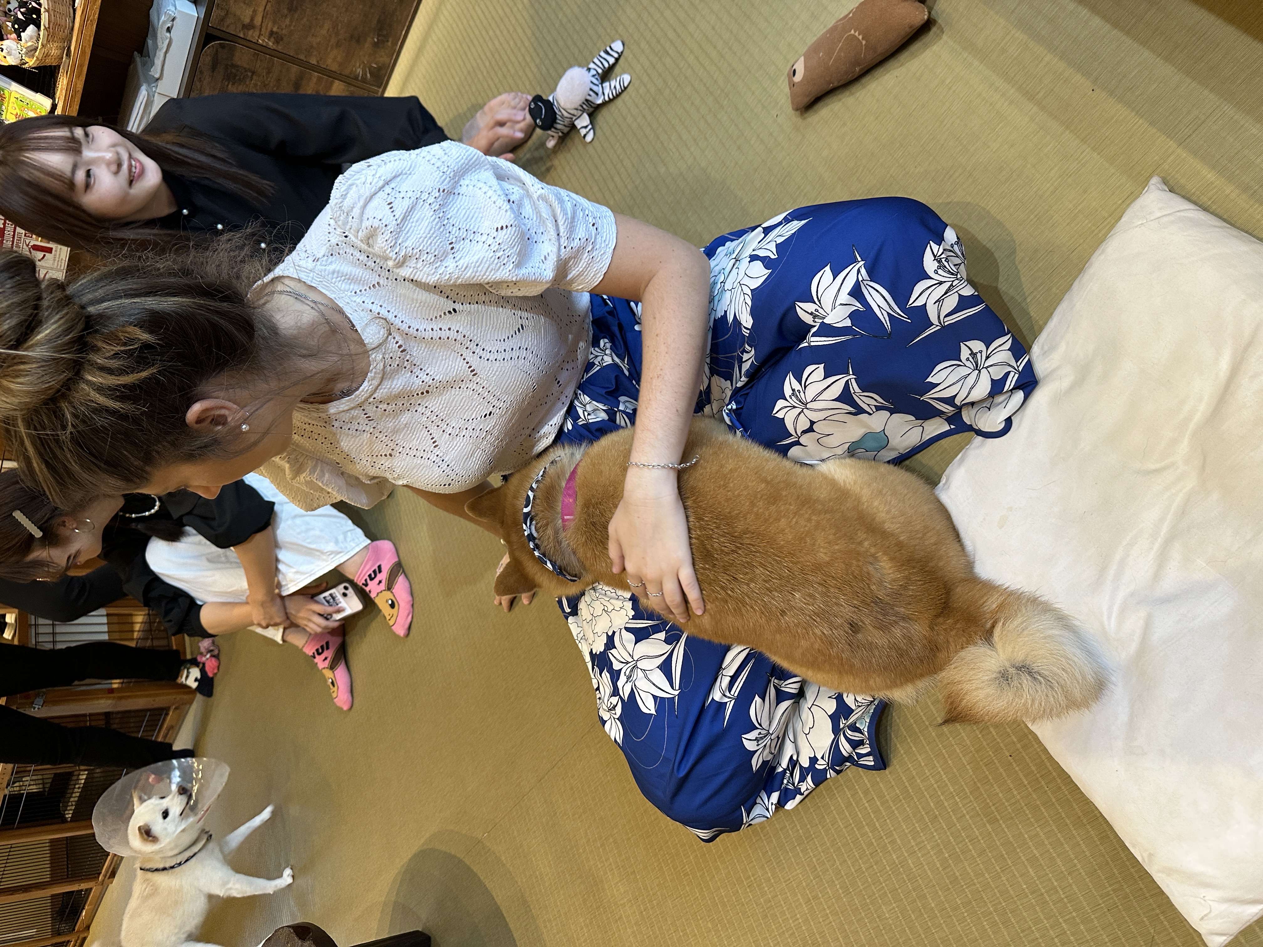 image-20