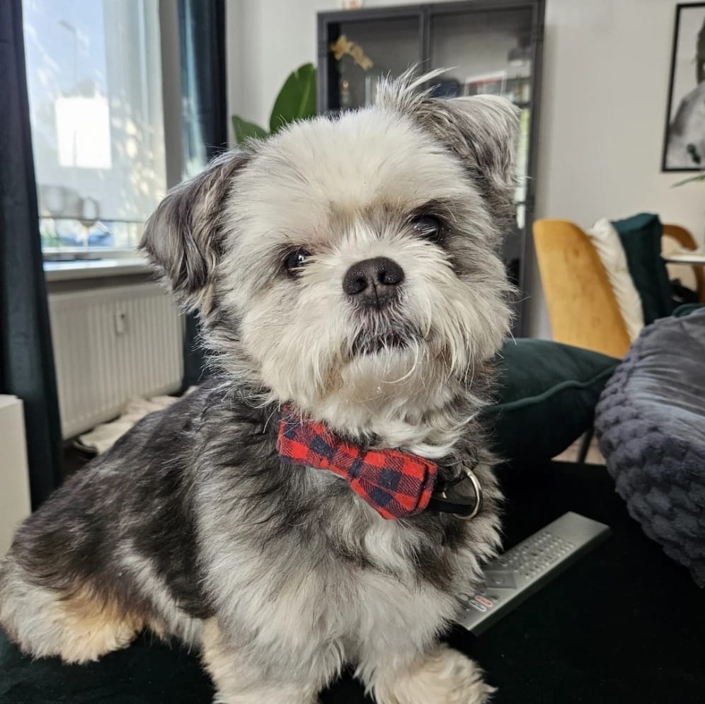 Pablo
