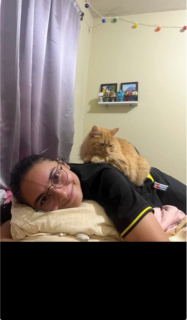 image-14