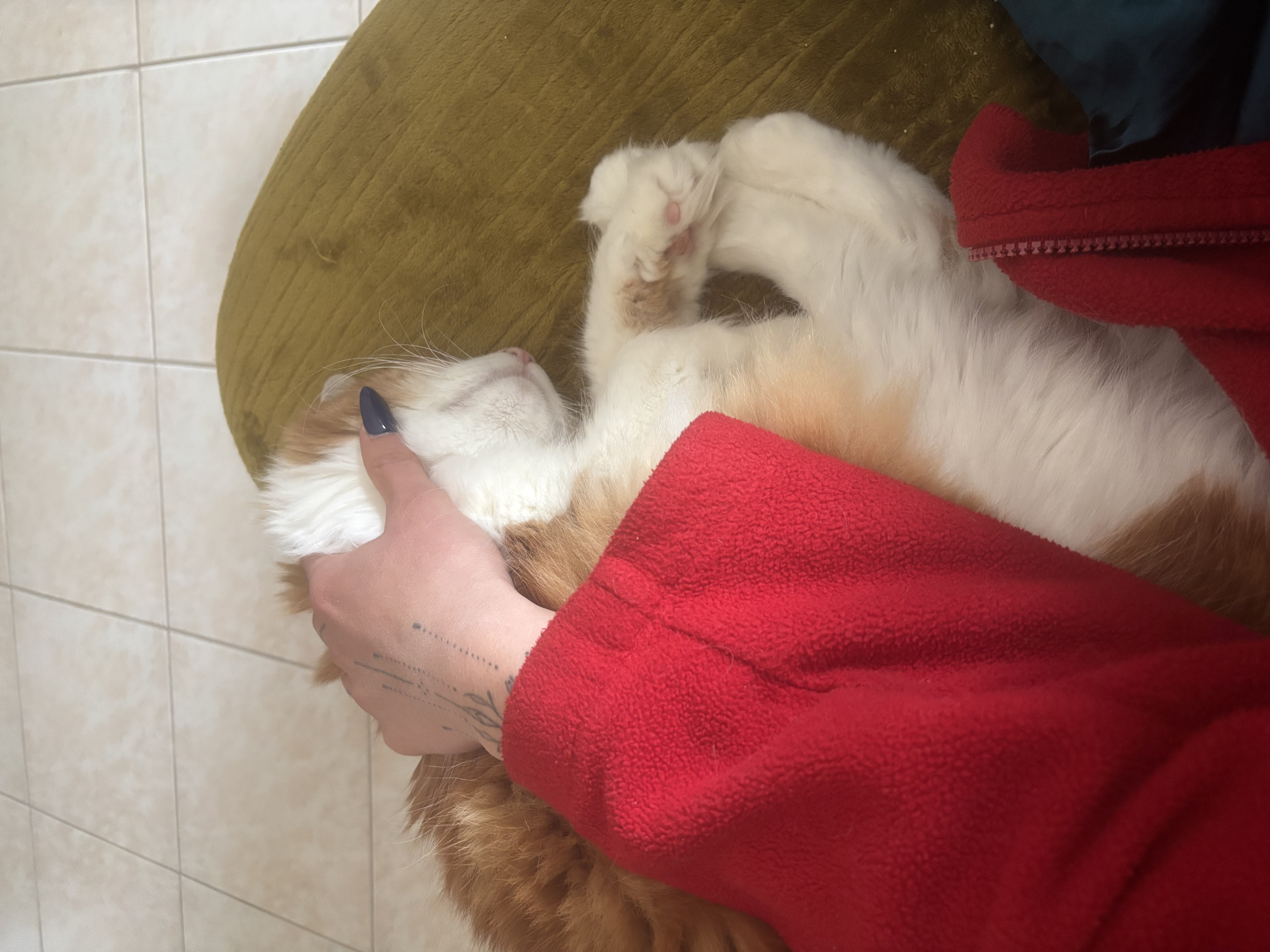 image-5