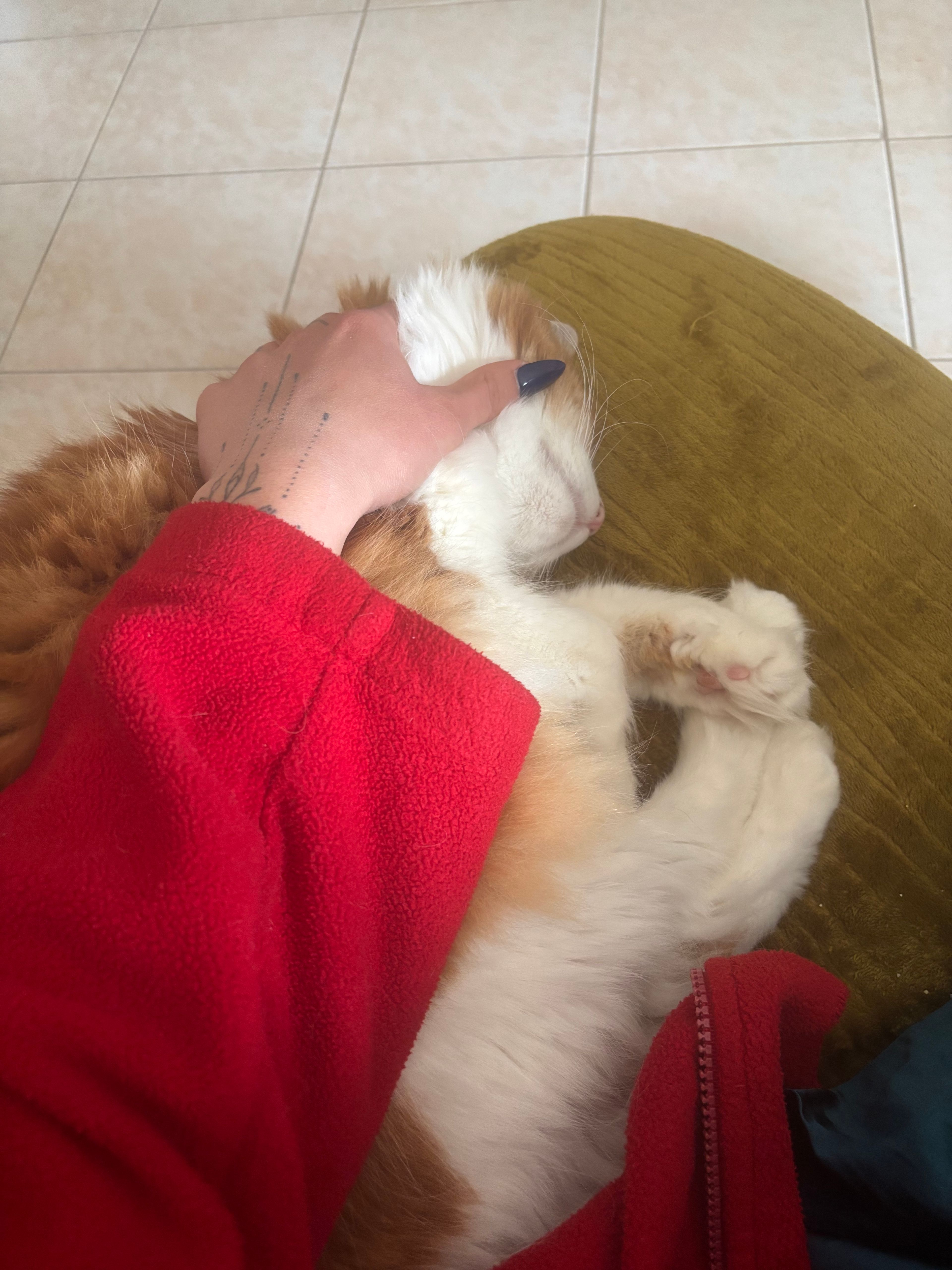 image-5
