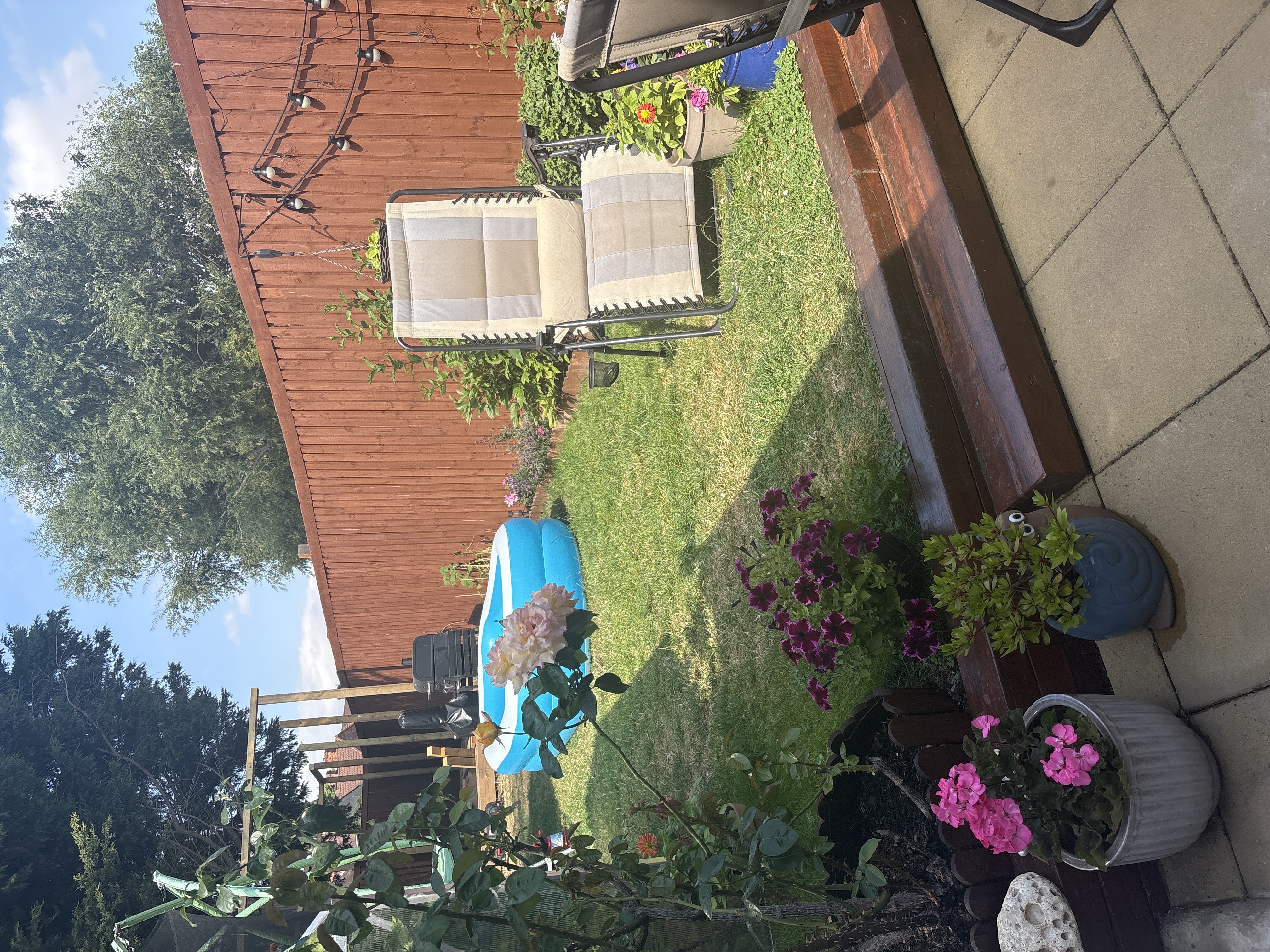 image-20