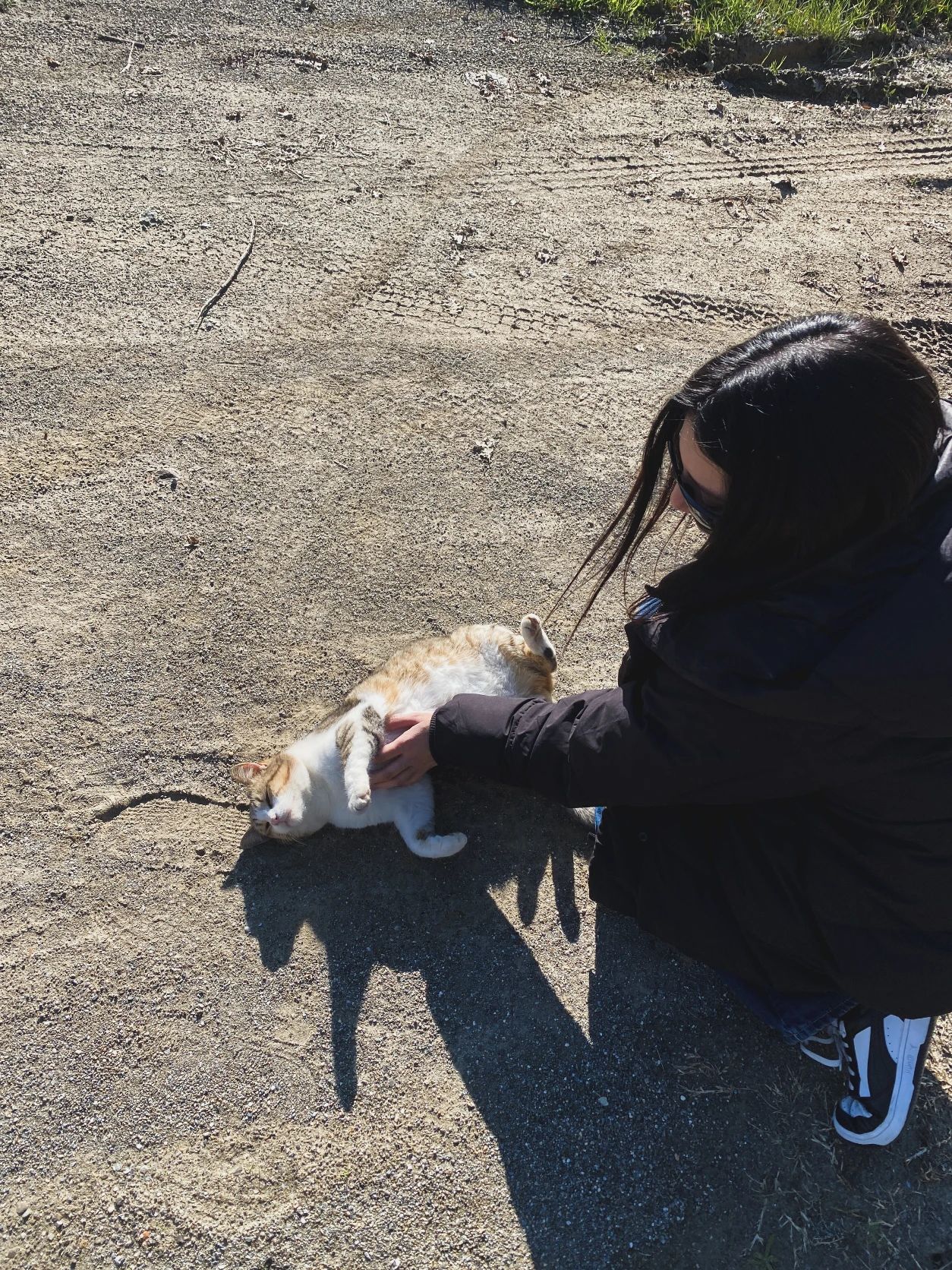 image-7
