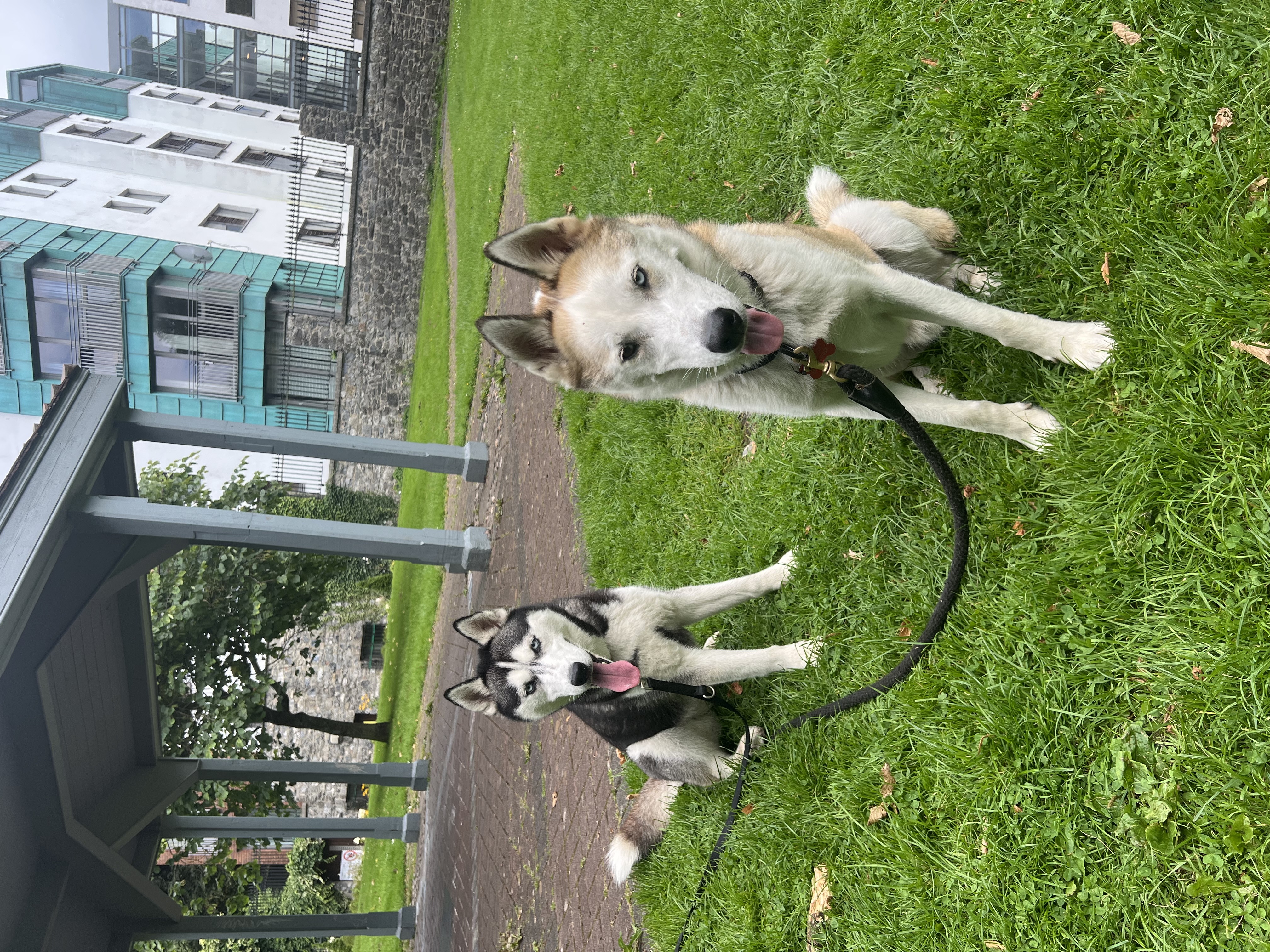 image-10
