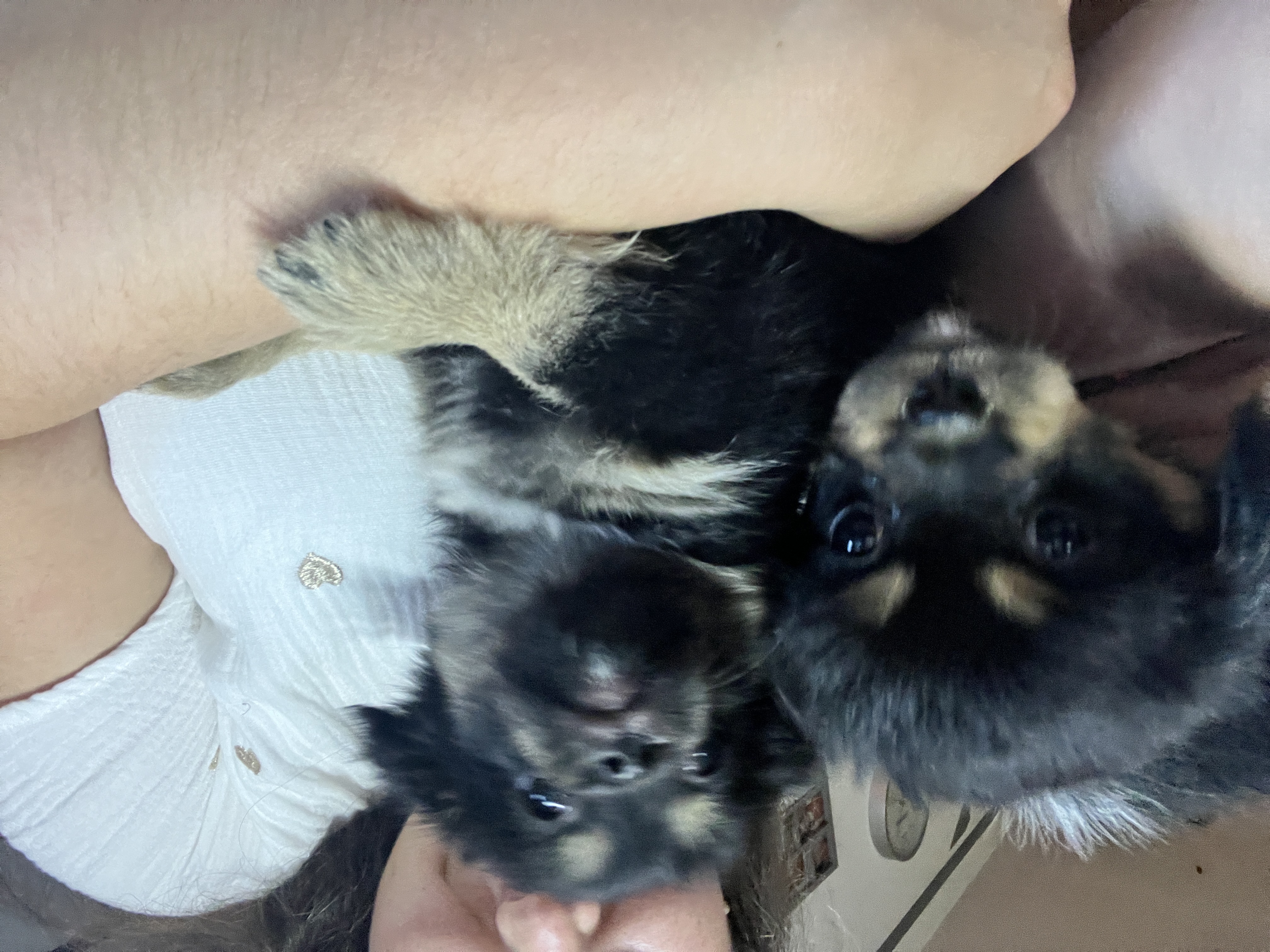 image-4
