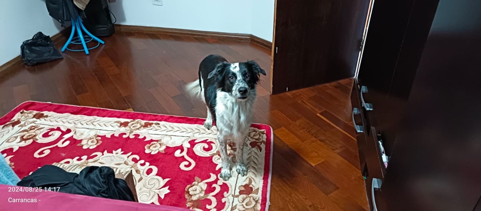 image-18