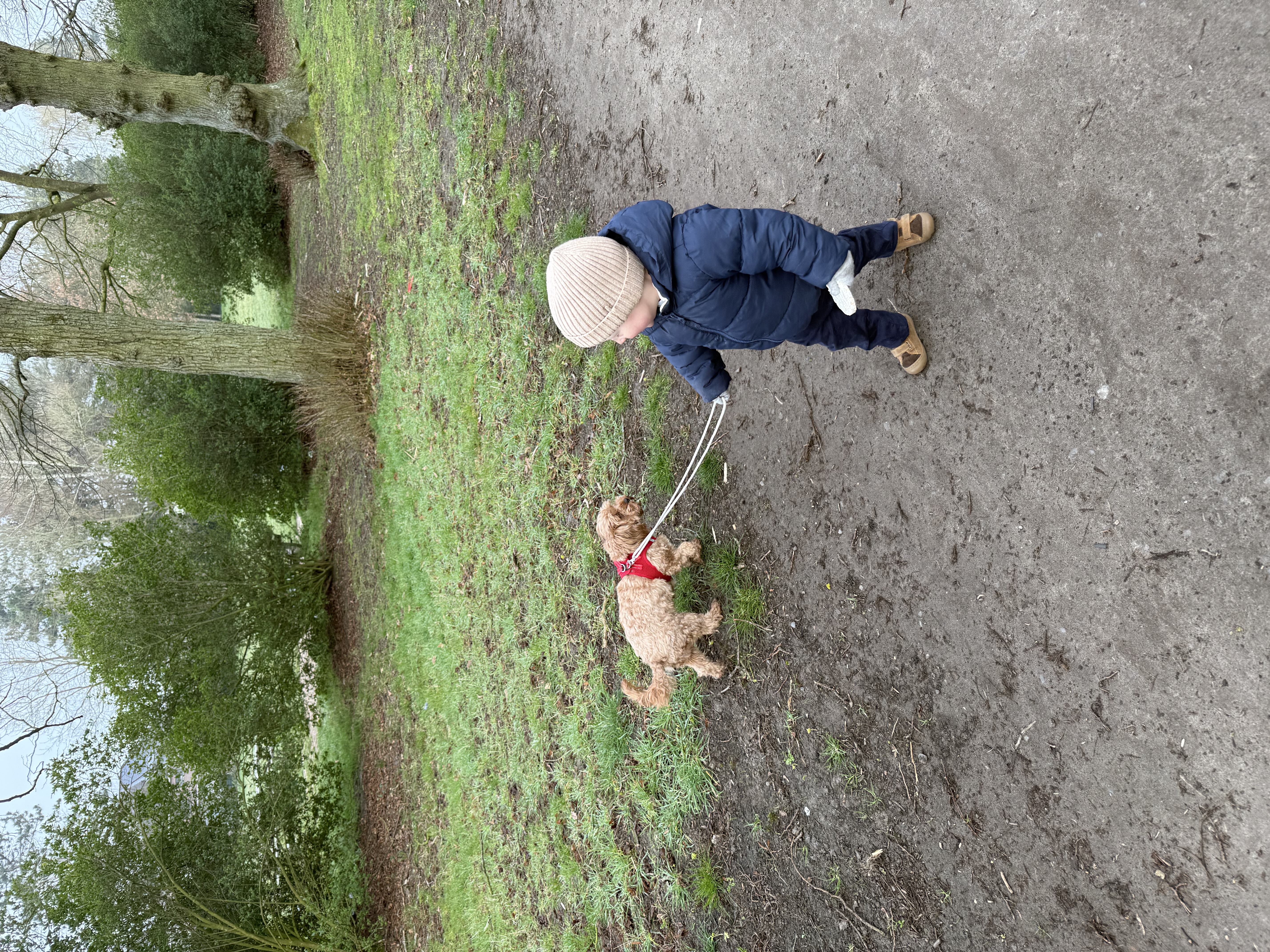 image-10