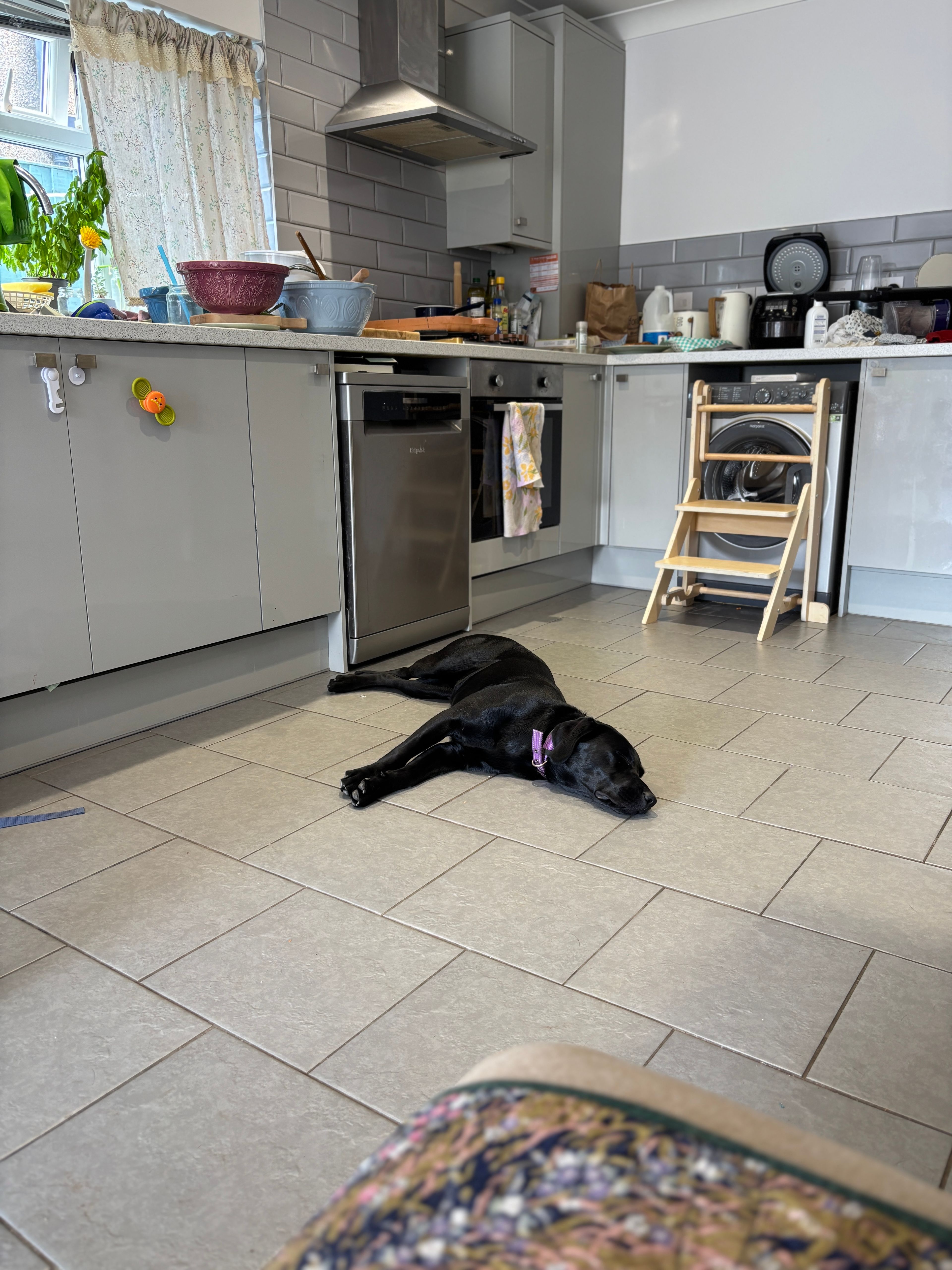 image-20