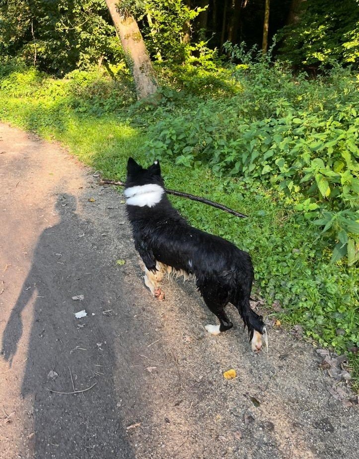 image-8