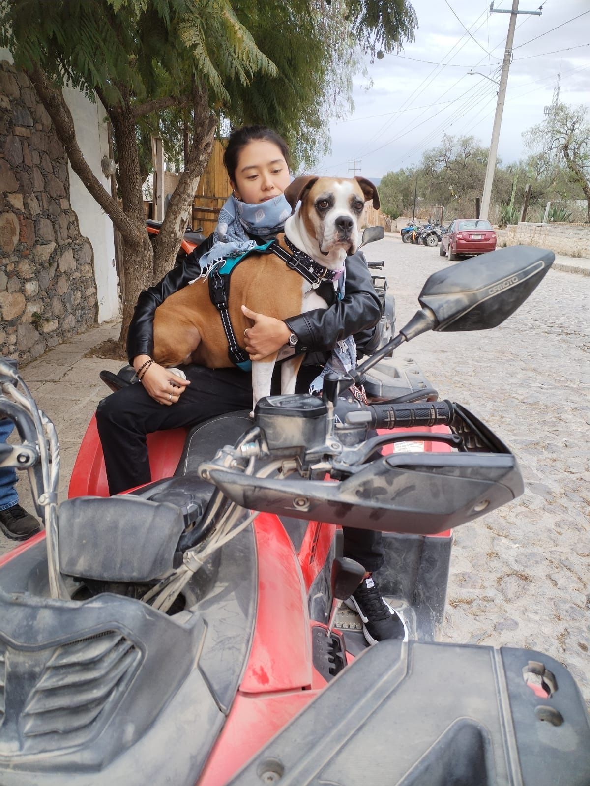 image-5