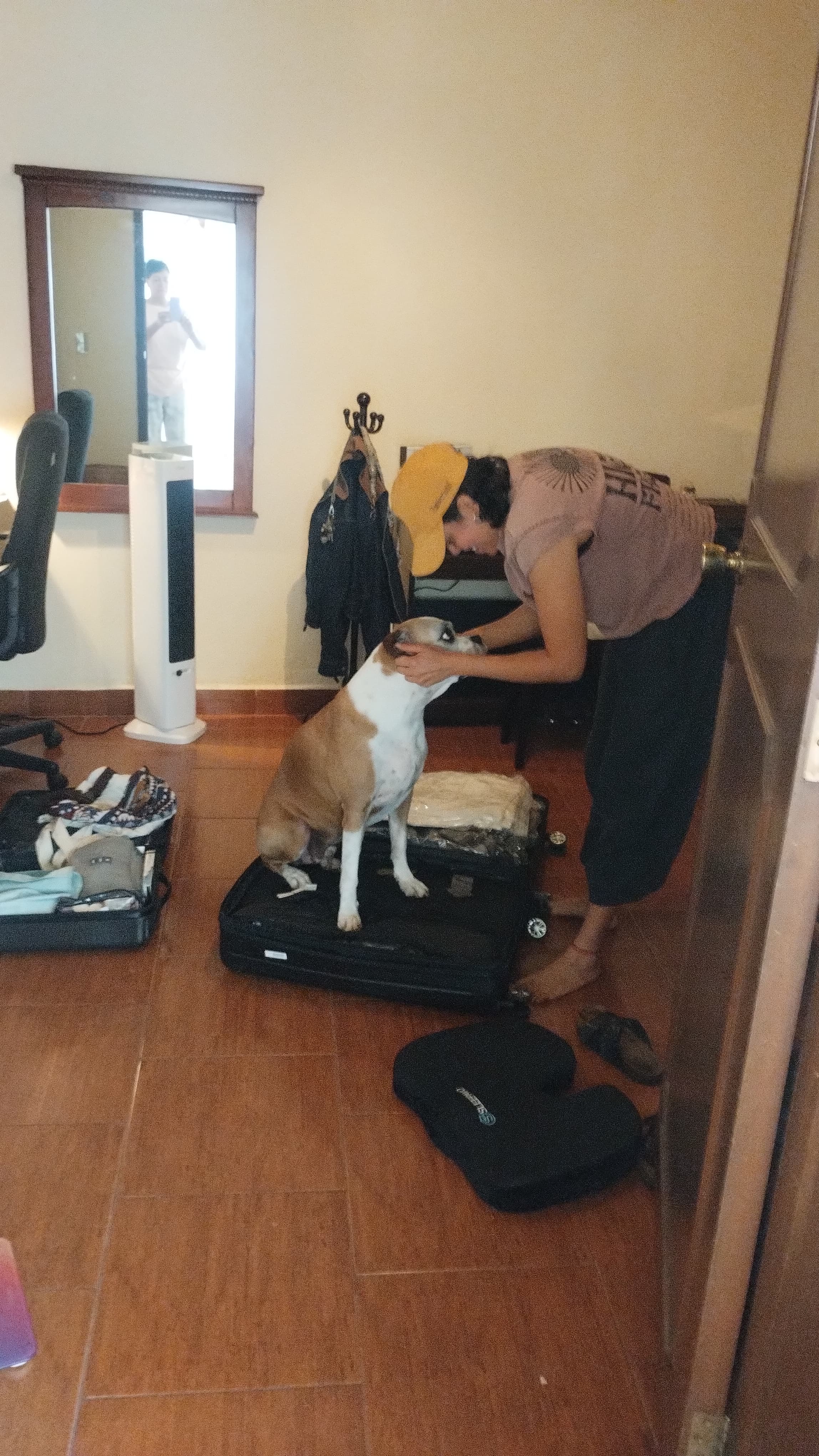 image-2