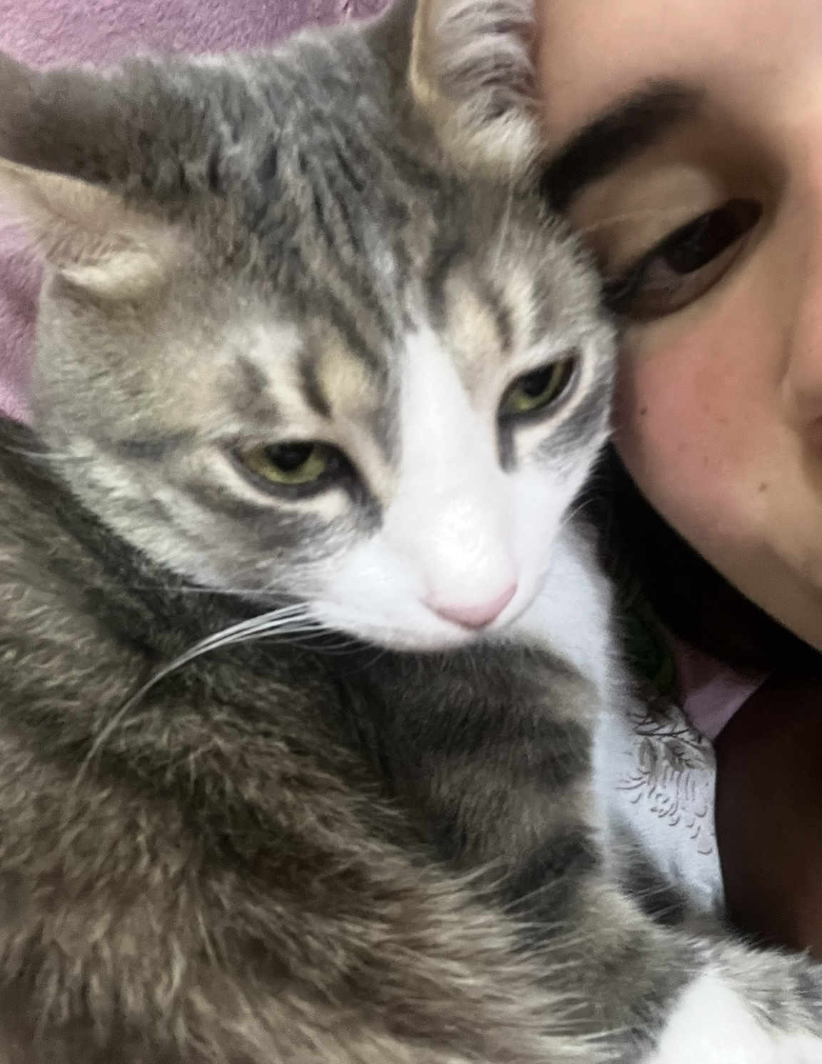 image-6